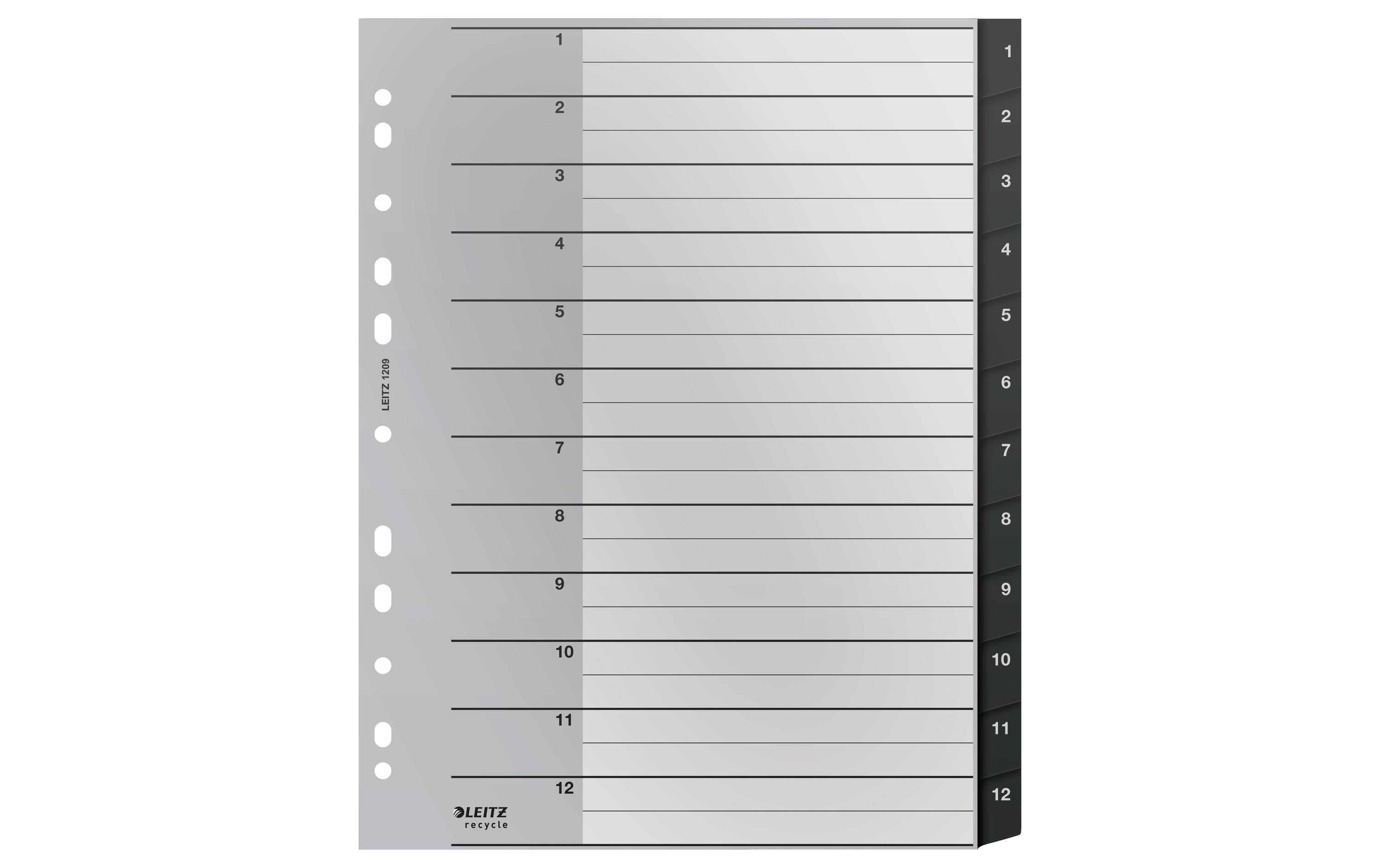 Leitz Register Recycle PC-beschriftbares Register 1-12, A4