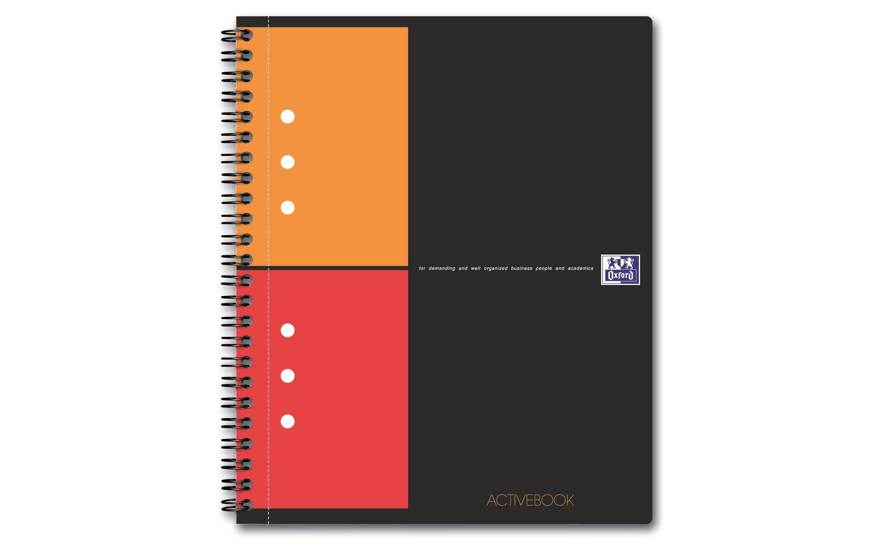 Oxford Notizheft International Activebook, A5 +, Kariert, Grau