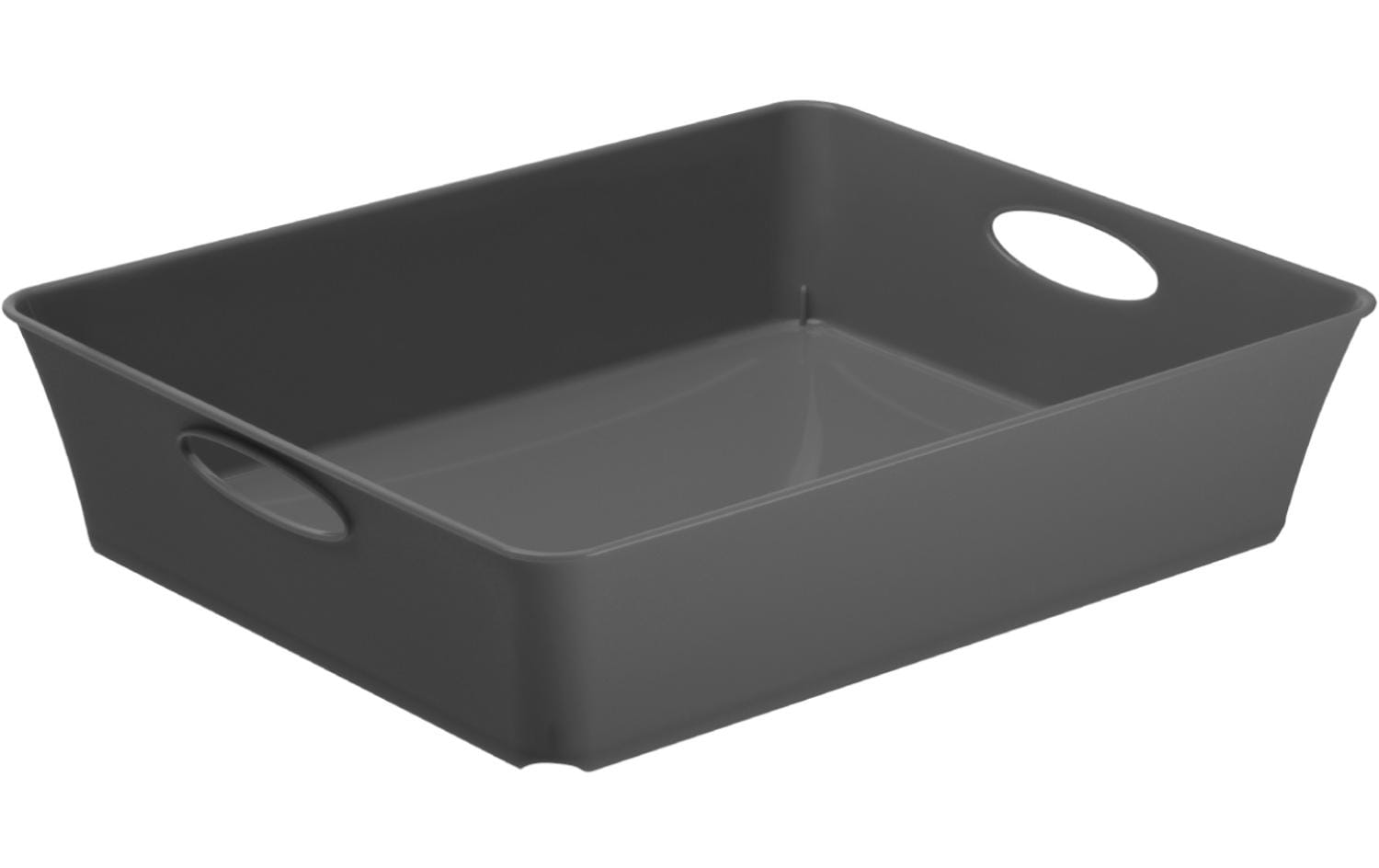Rotho Aufbewahrungsbox Living Box C5 / 2.5 l Anthrazit