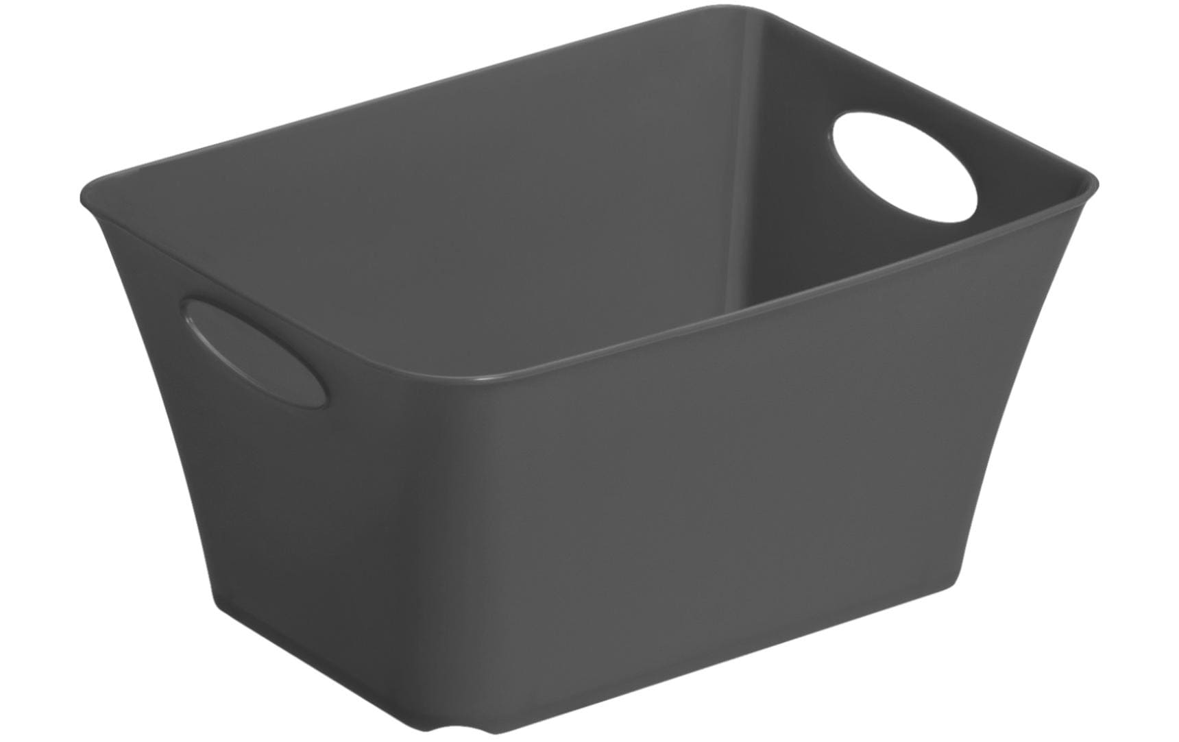 Rotho Aufbewahrungsbox Living Box 1.5 l Anthrazit