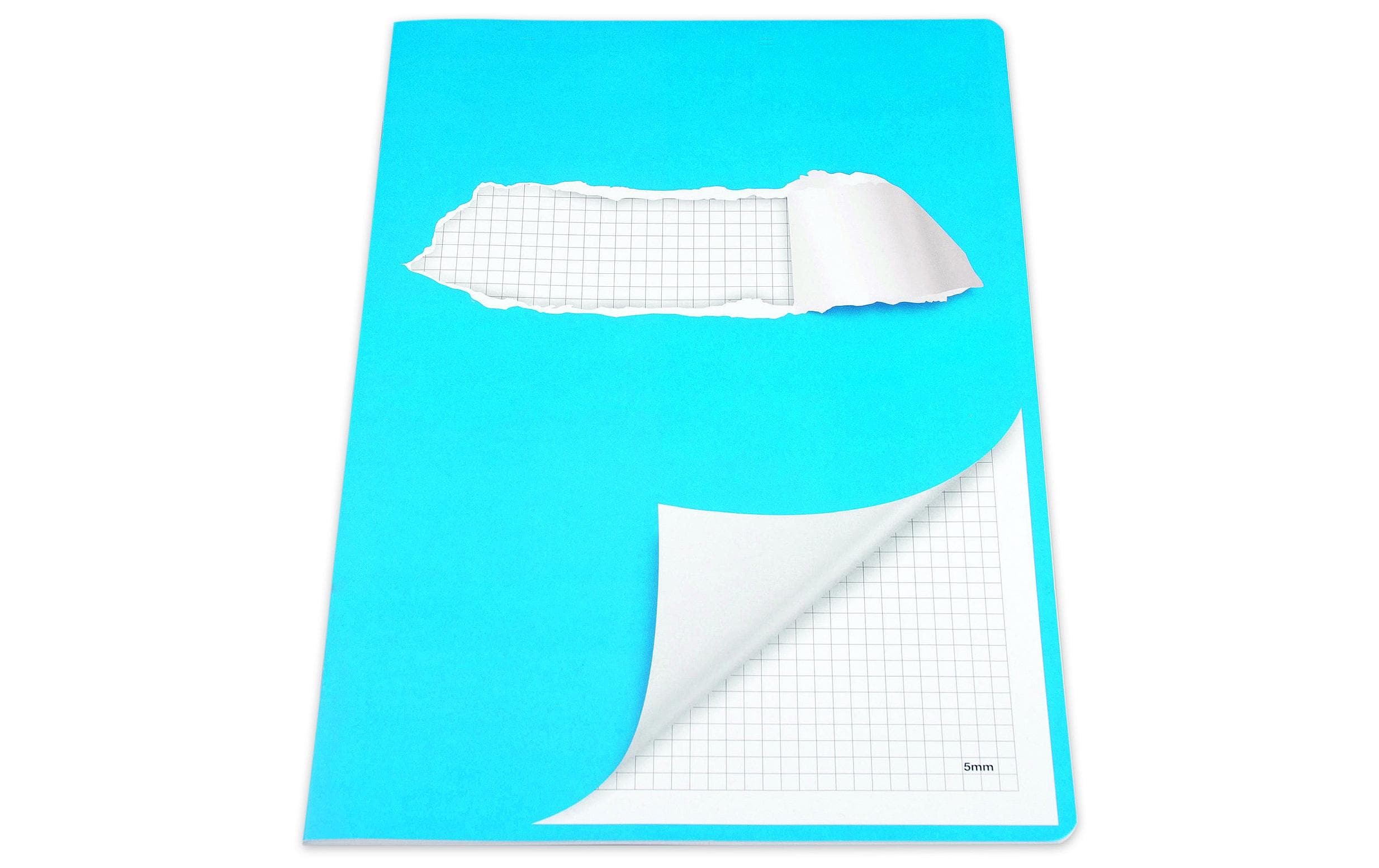 ELCO Schulheft mit Rand A4, Kariert, Blau/Weiss