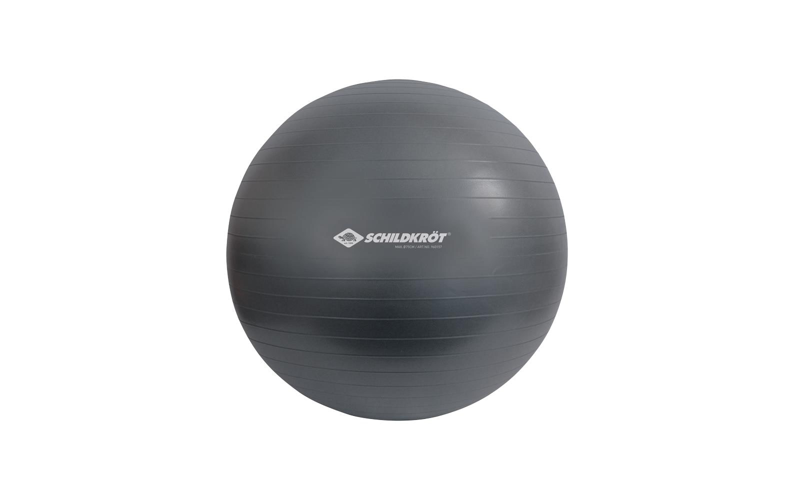 Schildkröt Fitness Gymnastikball 75 cm