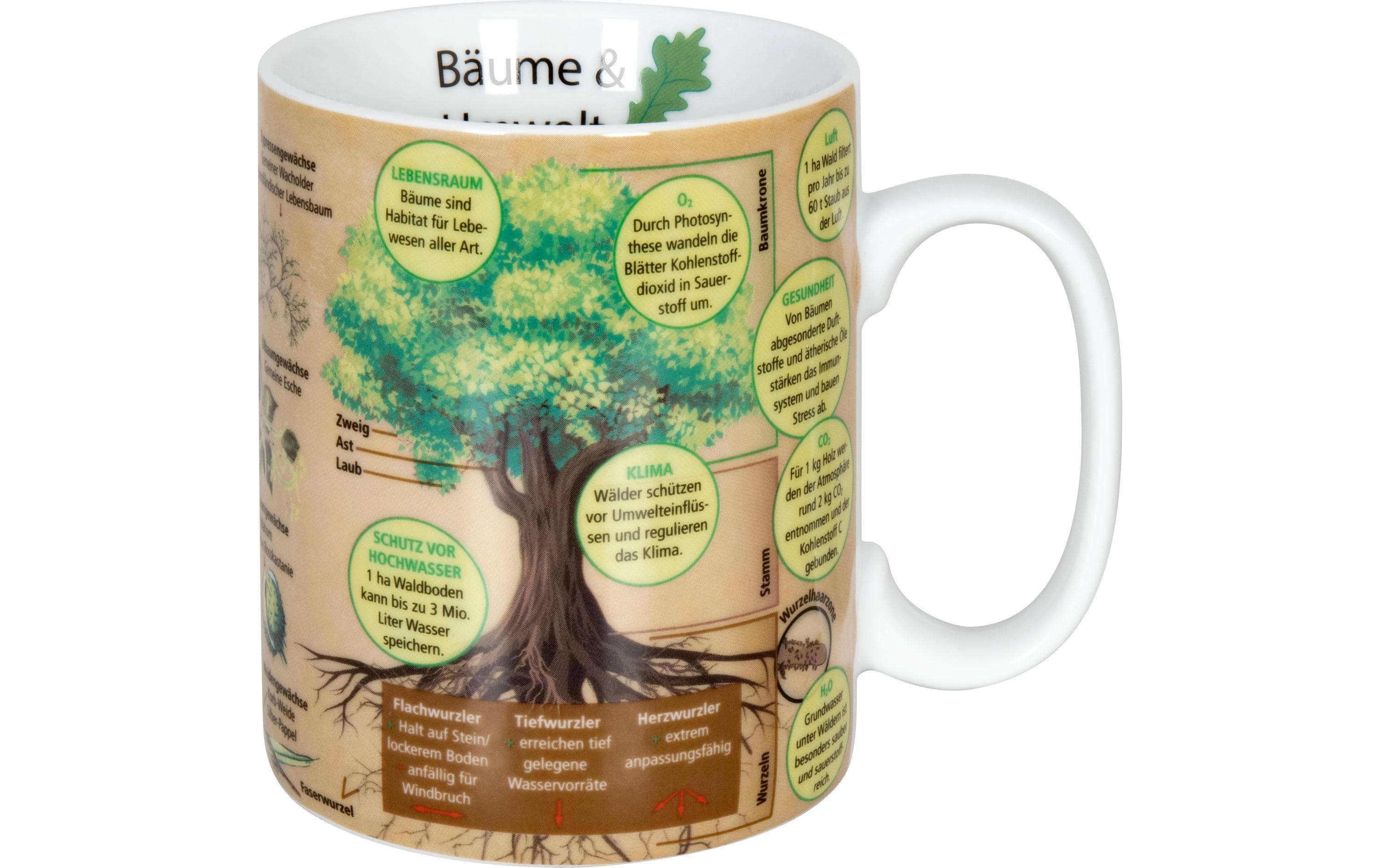 Könitz Kaffeetasse Wissensbecher Bäume 490 ml , 1 Stück