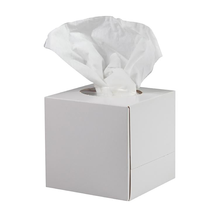 Kosmetiktücher Würfelbox weiss Krt. à 30 Würfel à 90 Tücher 20.7 x 20.5 cm, 2 la