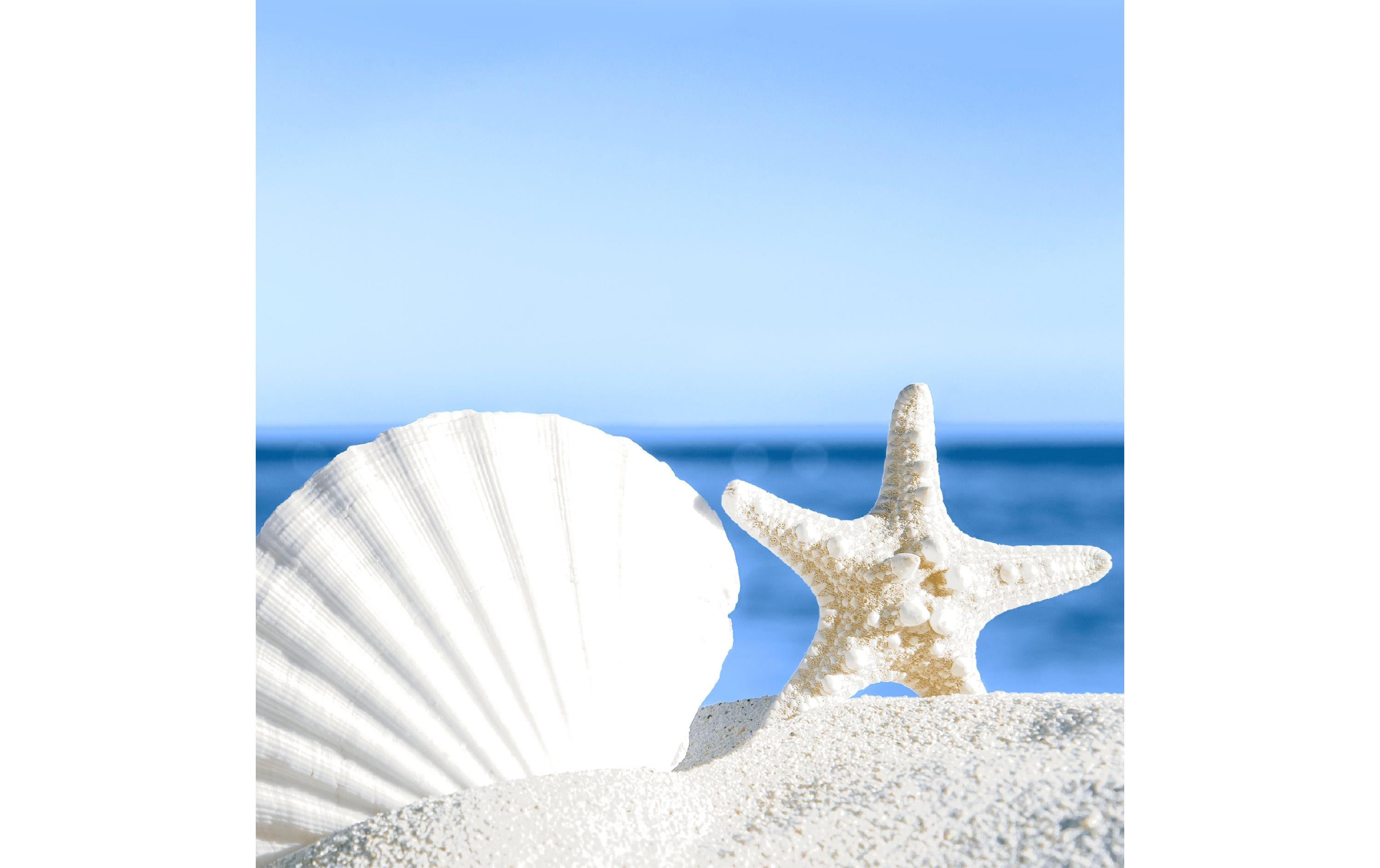 Paper + Design Papierservietten Shells by the sea 33 cm x 33 cm, 20 Stück