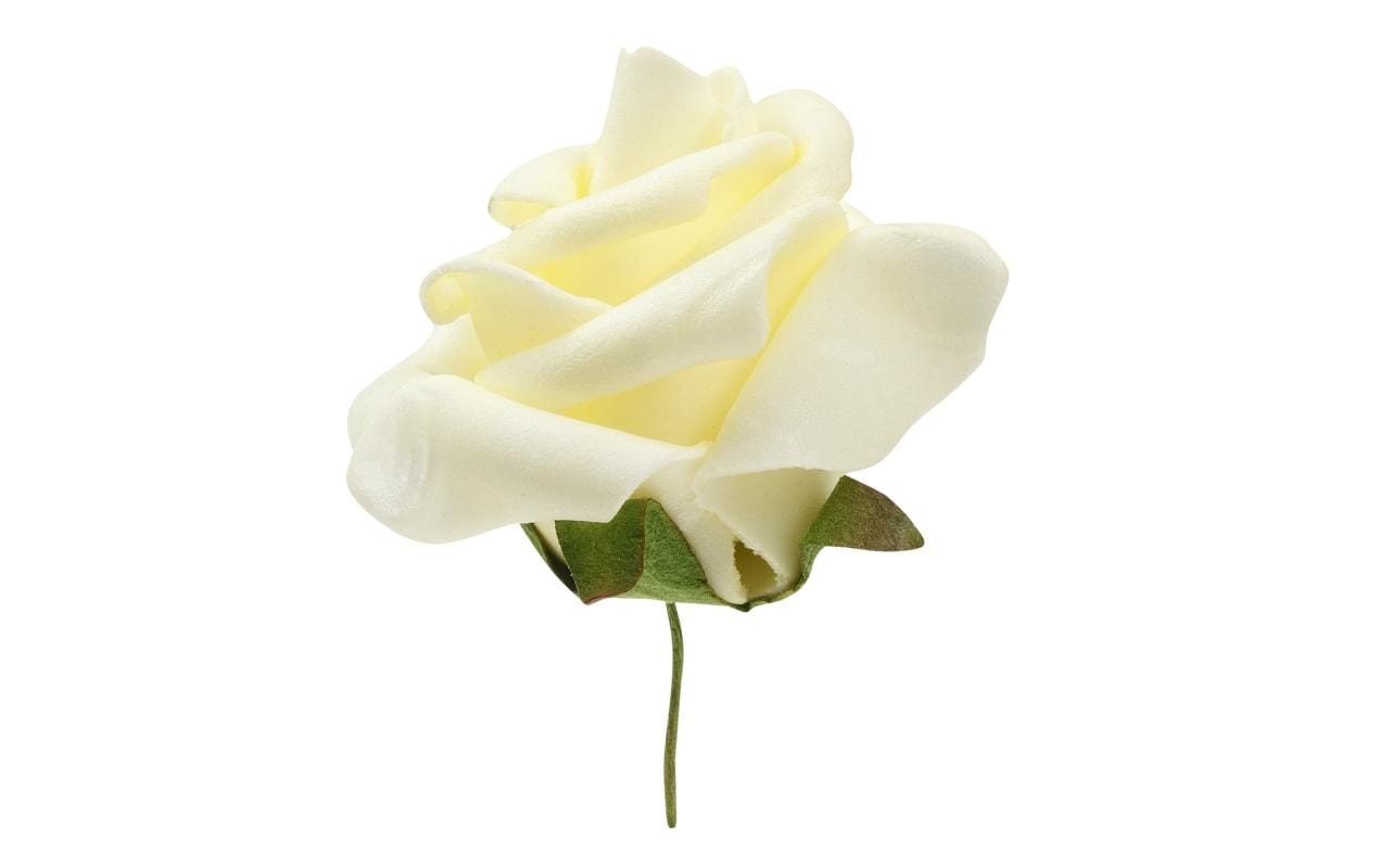 HobbyFun Streudeko Rosen 12 Stück, Creme