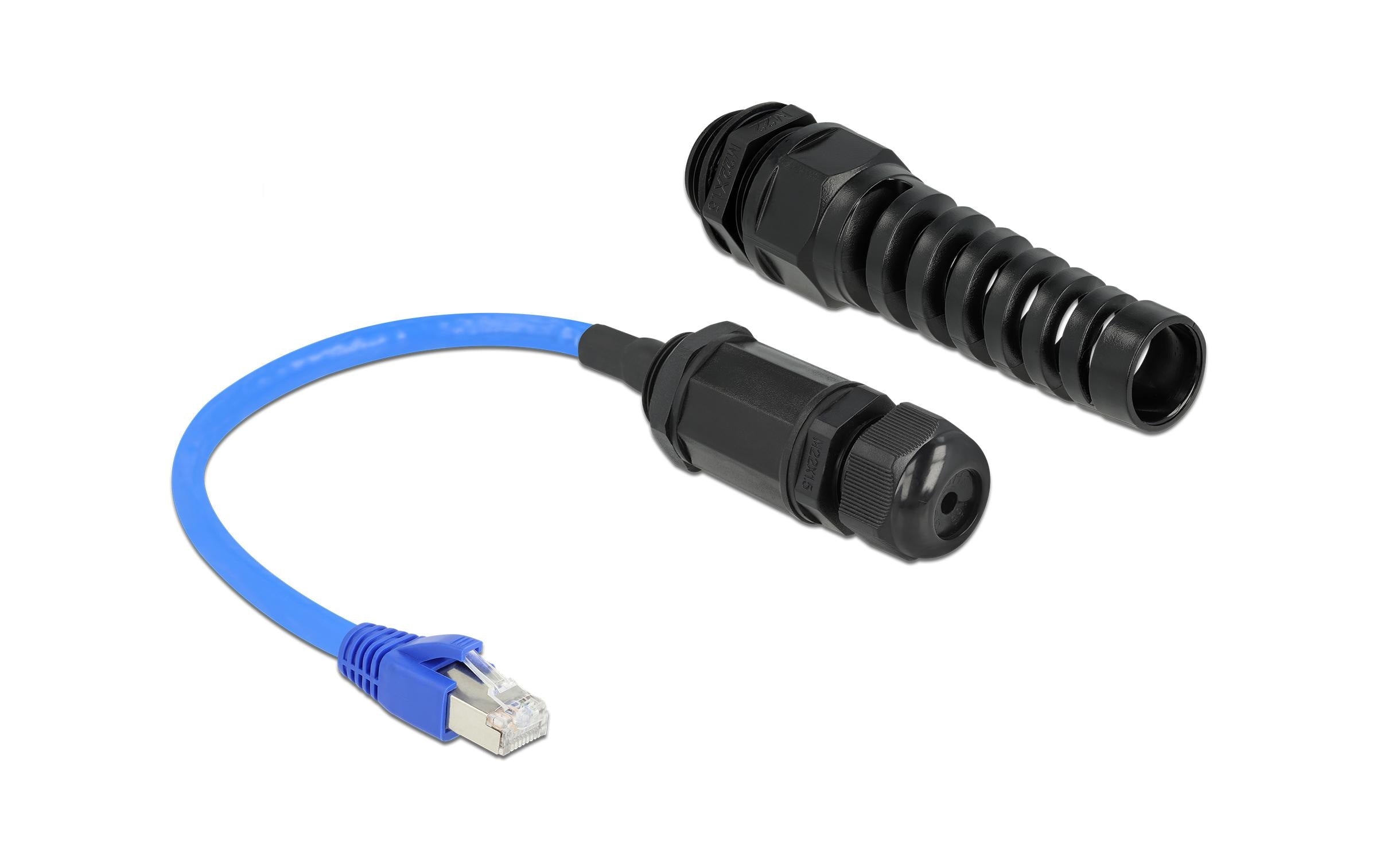 Delock Patchkabel RJ-45 - RJ-45, Cat 6, S/FTP, 0.25 m, Blau