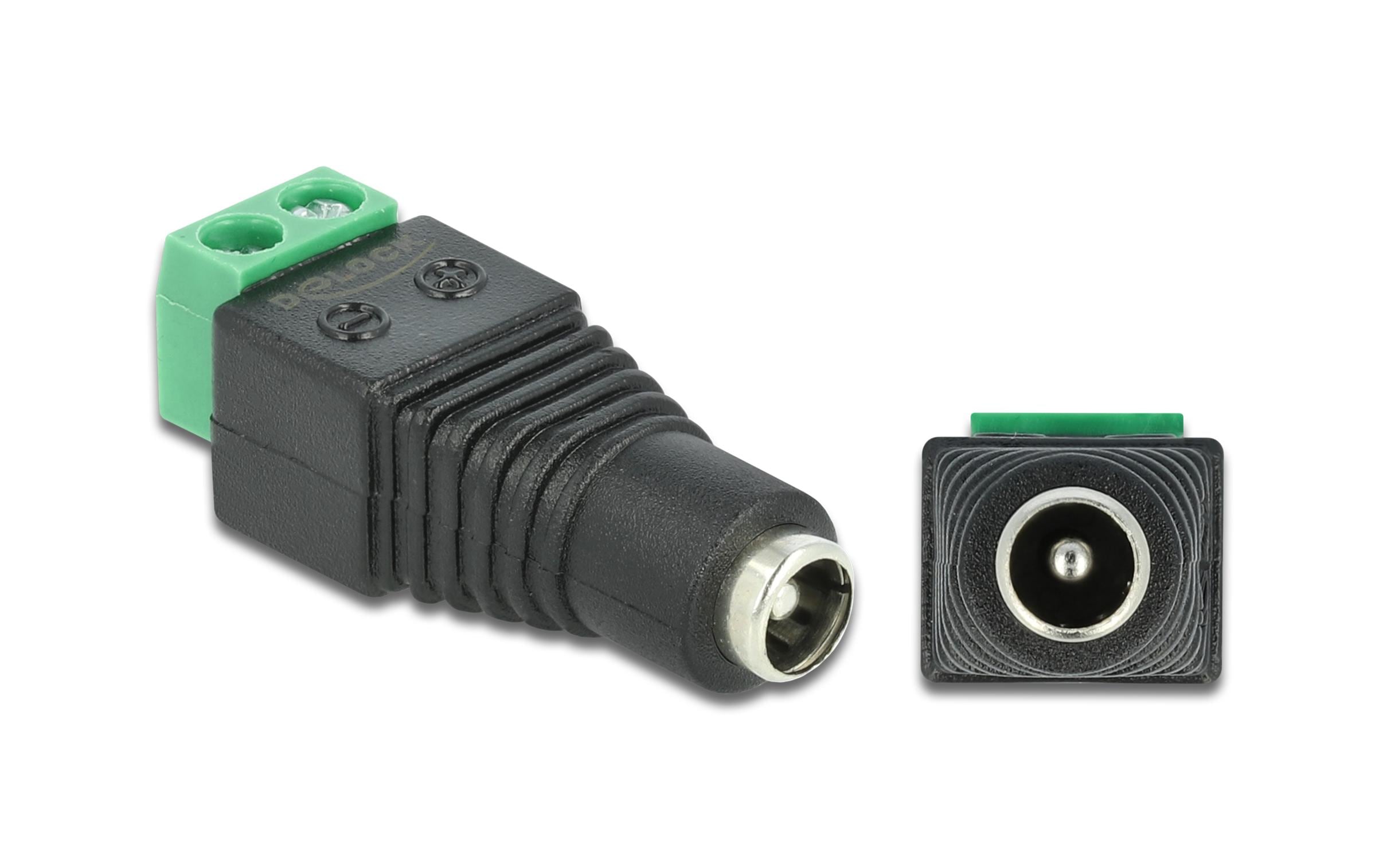 Delock Hohlstecker DC 5.5 x 2.1 mm Buchse > Terminalblock 2 Pin