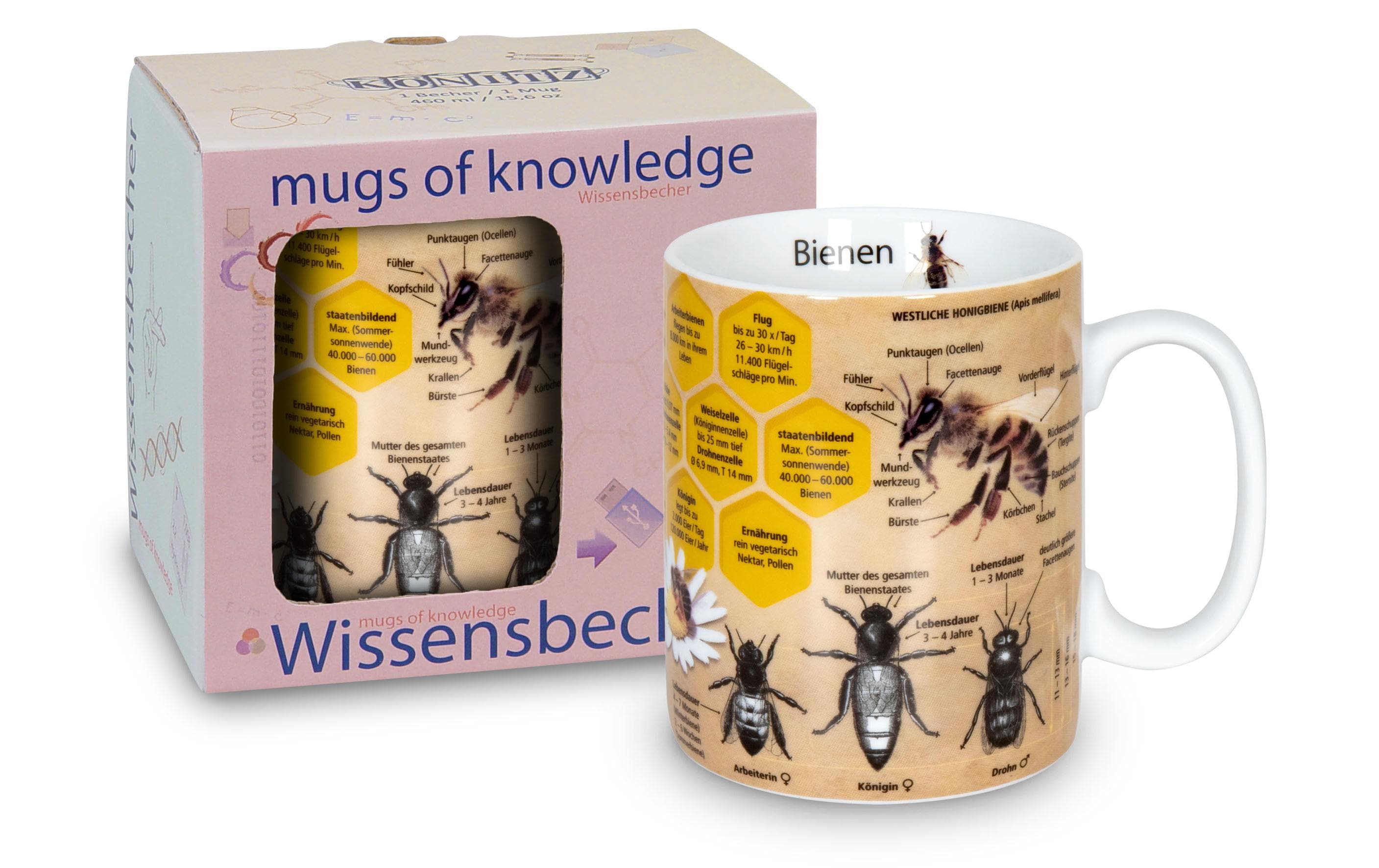 Könitz Kaffeetasse Biene 490 ml , 1 Stück, Mehrfarbig
