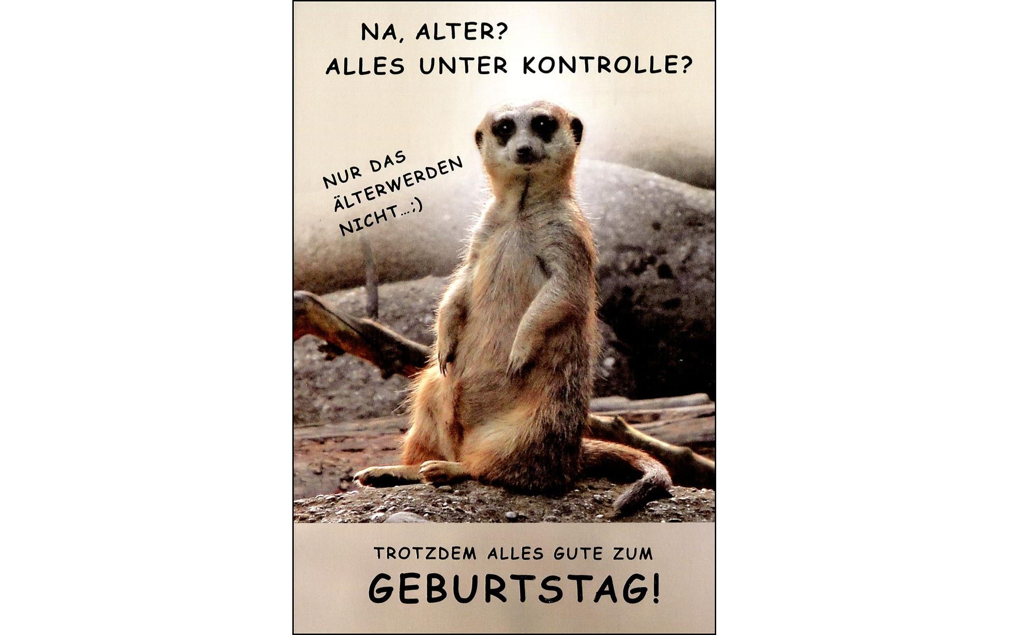 ABC Geburtstagskarte Na Alter? A4
