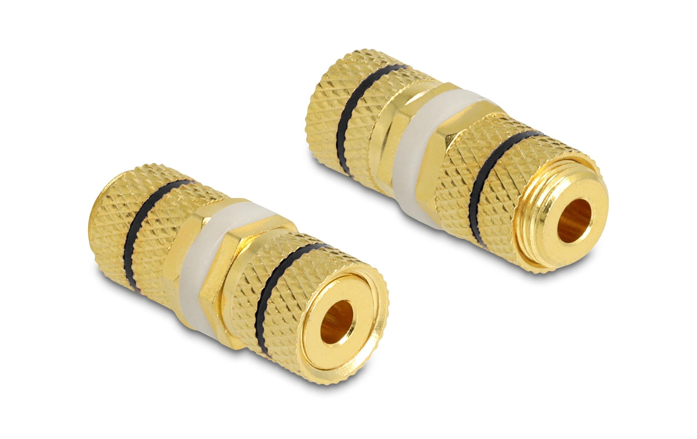 Delock Audio-Adapter Optik 1 Polklemme Spezial - Spezial