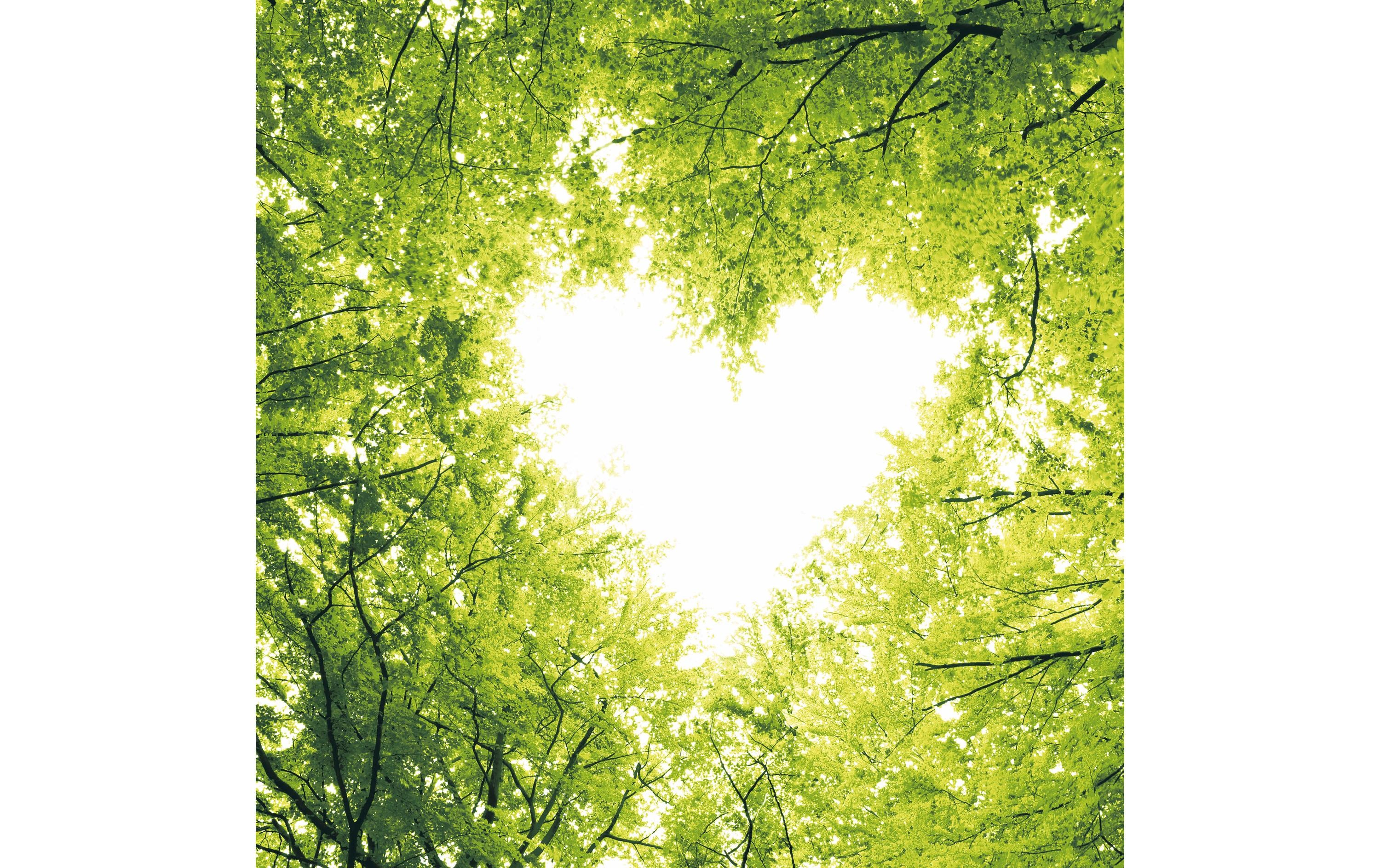 Paper + Design Papierservietten Nature Love 33 cm x 33 cm, 20 Stück