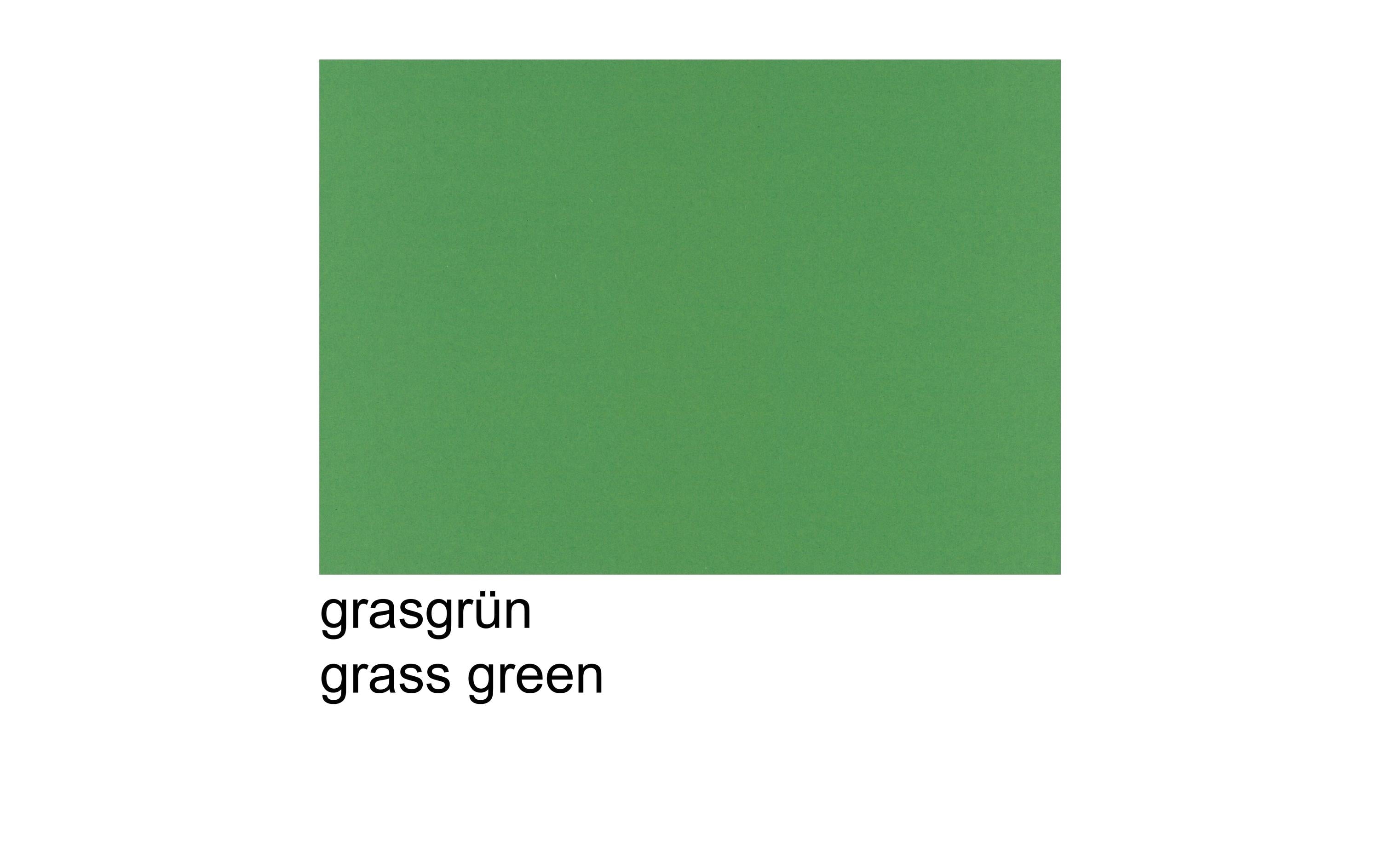Papyrus Tonzeichenpapier A2, 130 g/m²,  100 Stück, Grasgrün