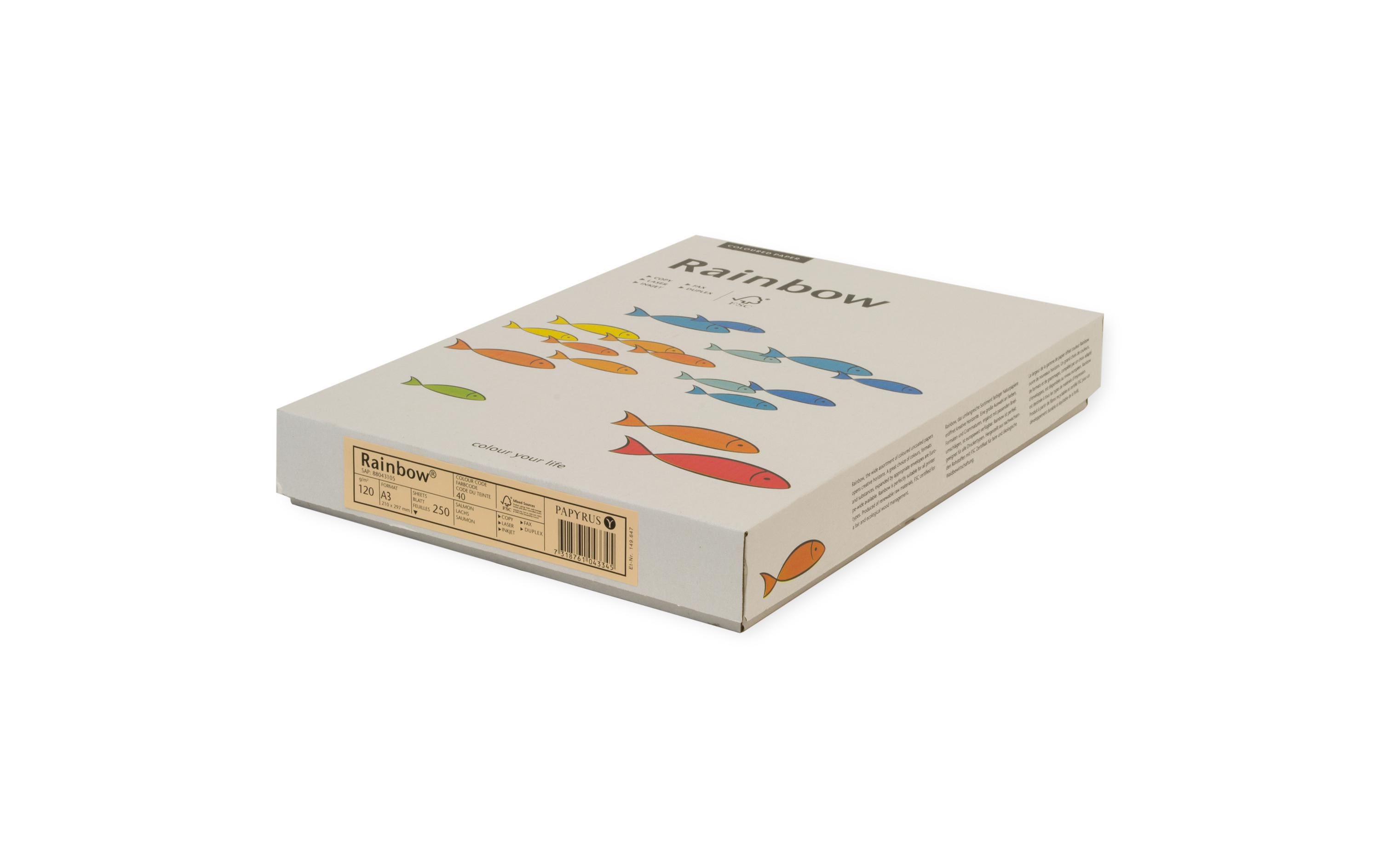 Rainbow Kopierpapier A3, Hellgrau, 120 g/m², 250 Blatt