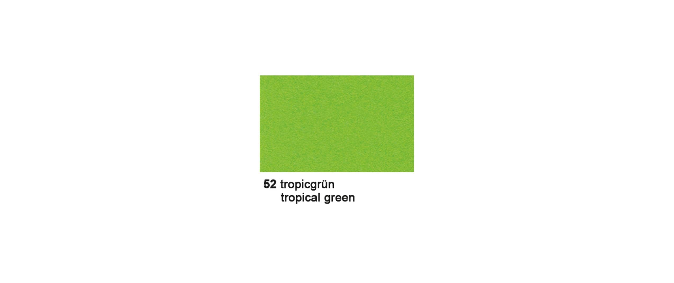 URSUS Fotokarton 50 x 70 cm Tropicgrün
