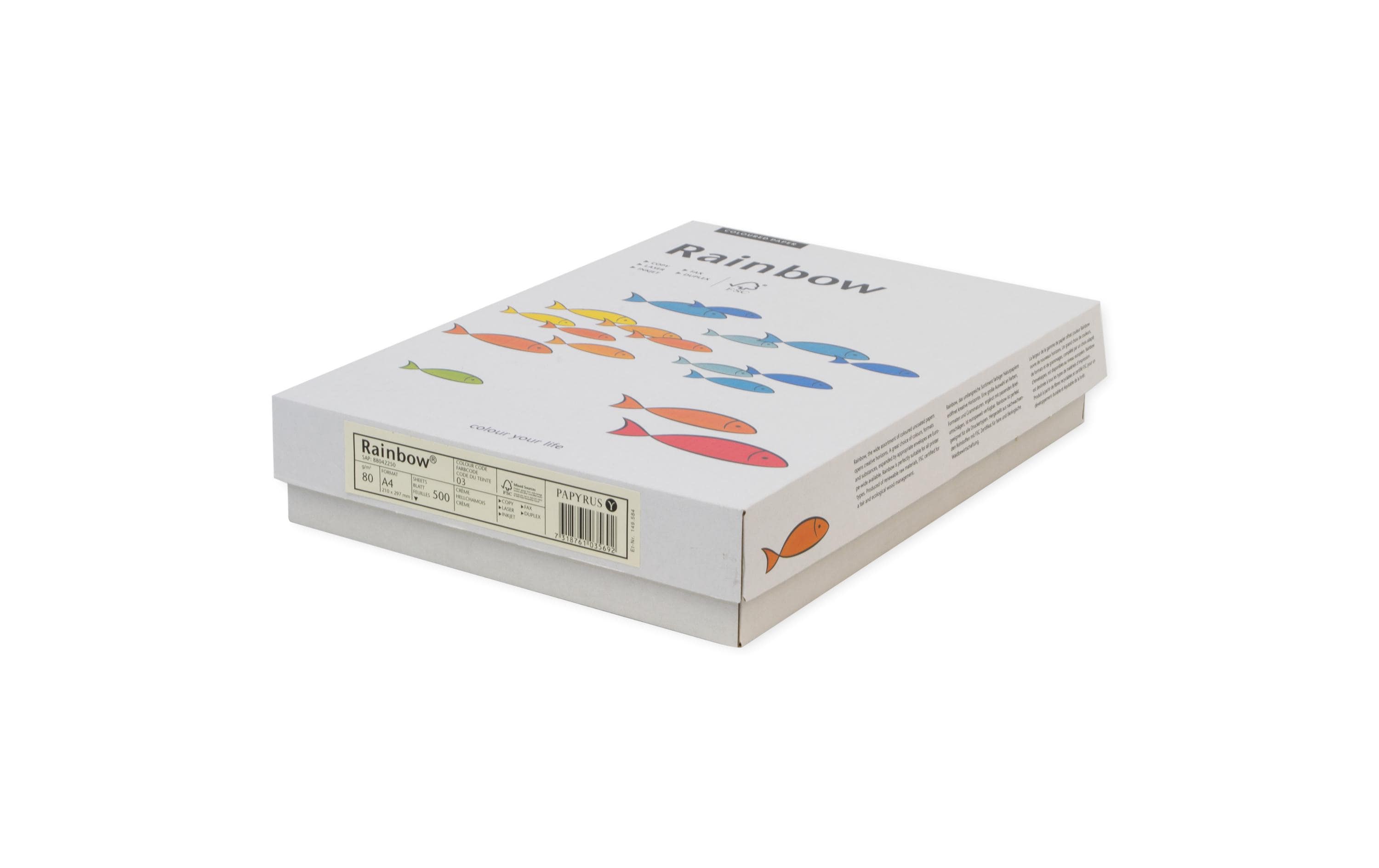 Rainbow Kopierpapier A4, Neongrün, 80 g/m², 100 Blatt