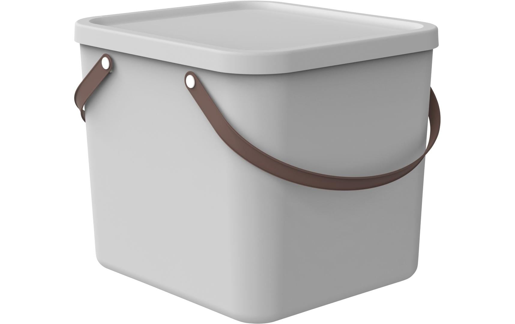 Rotho Aufbewahrungsbox Albula 40 l, Mistletoe Weiss