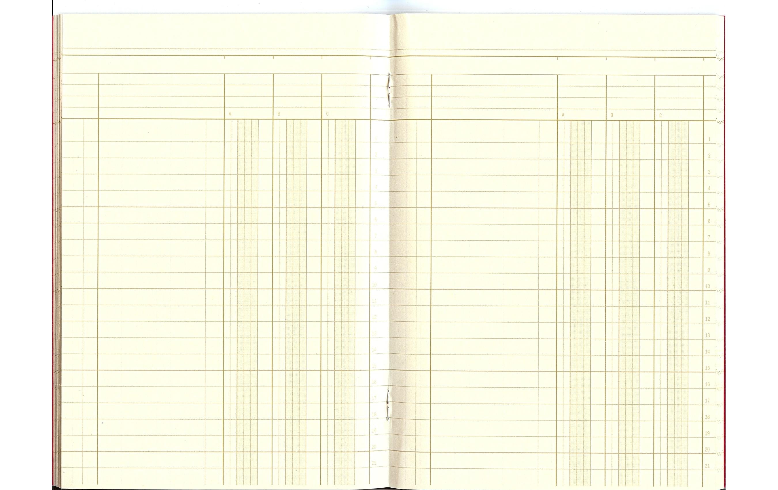 Simplex Durchschreibebuch A5 Statistikheft