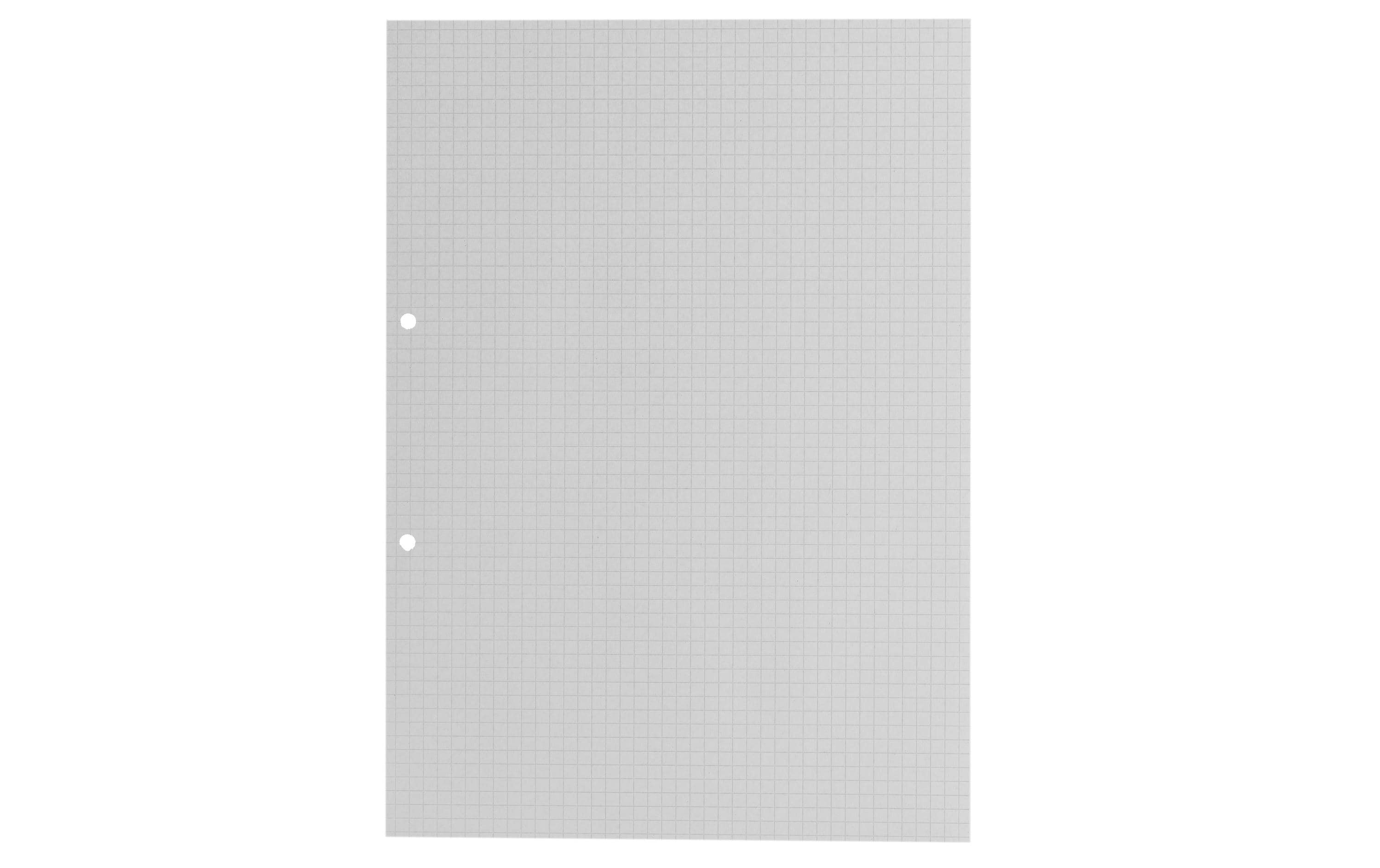 office focus Ringbucheinlagen FSC, 2-Loch, ohne Rand 5 mm Kariert