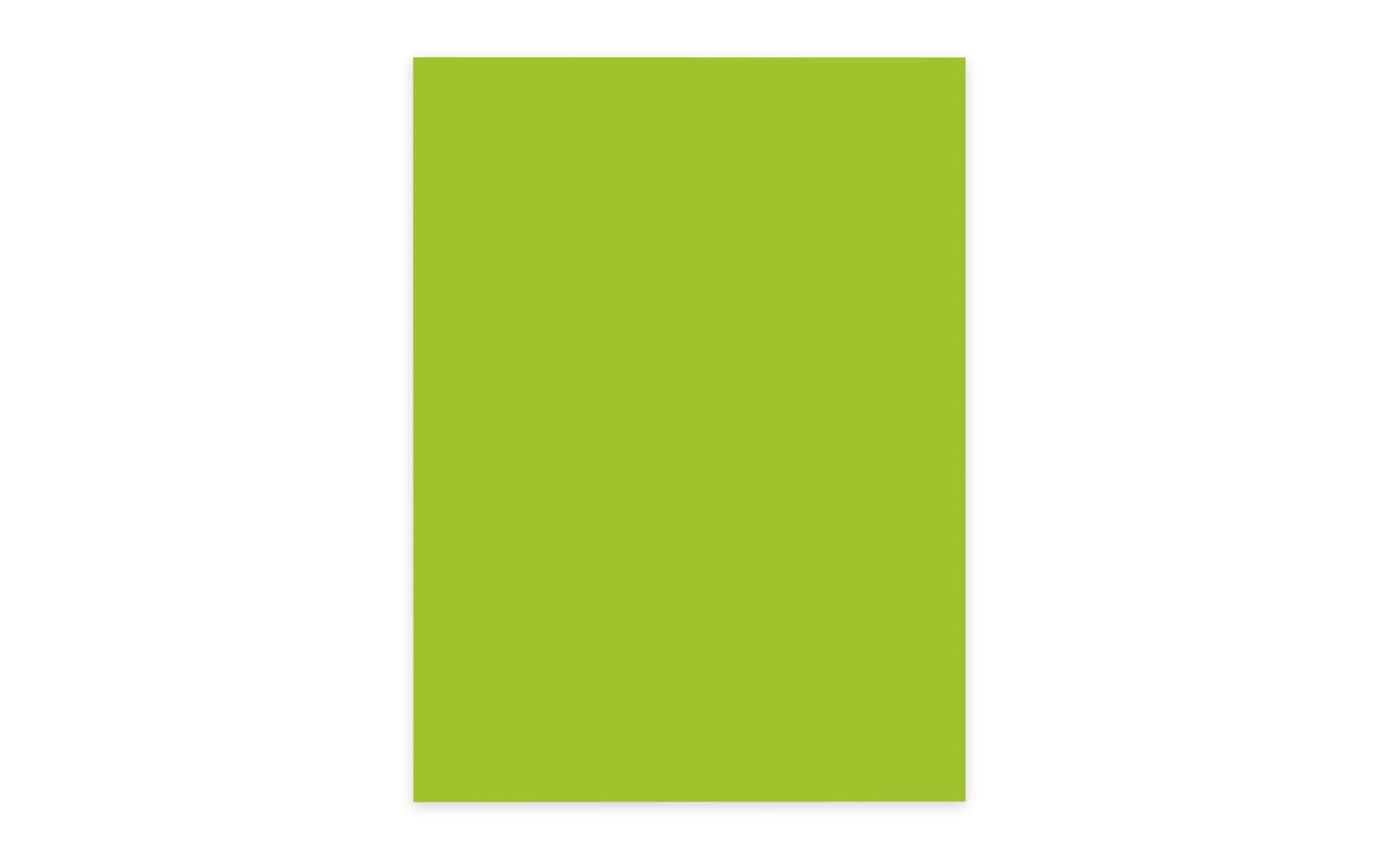 ELCO Kopierpapier Color A4, Grün, 80 g/m², 100 Blatt