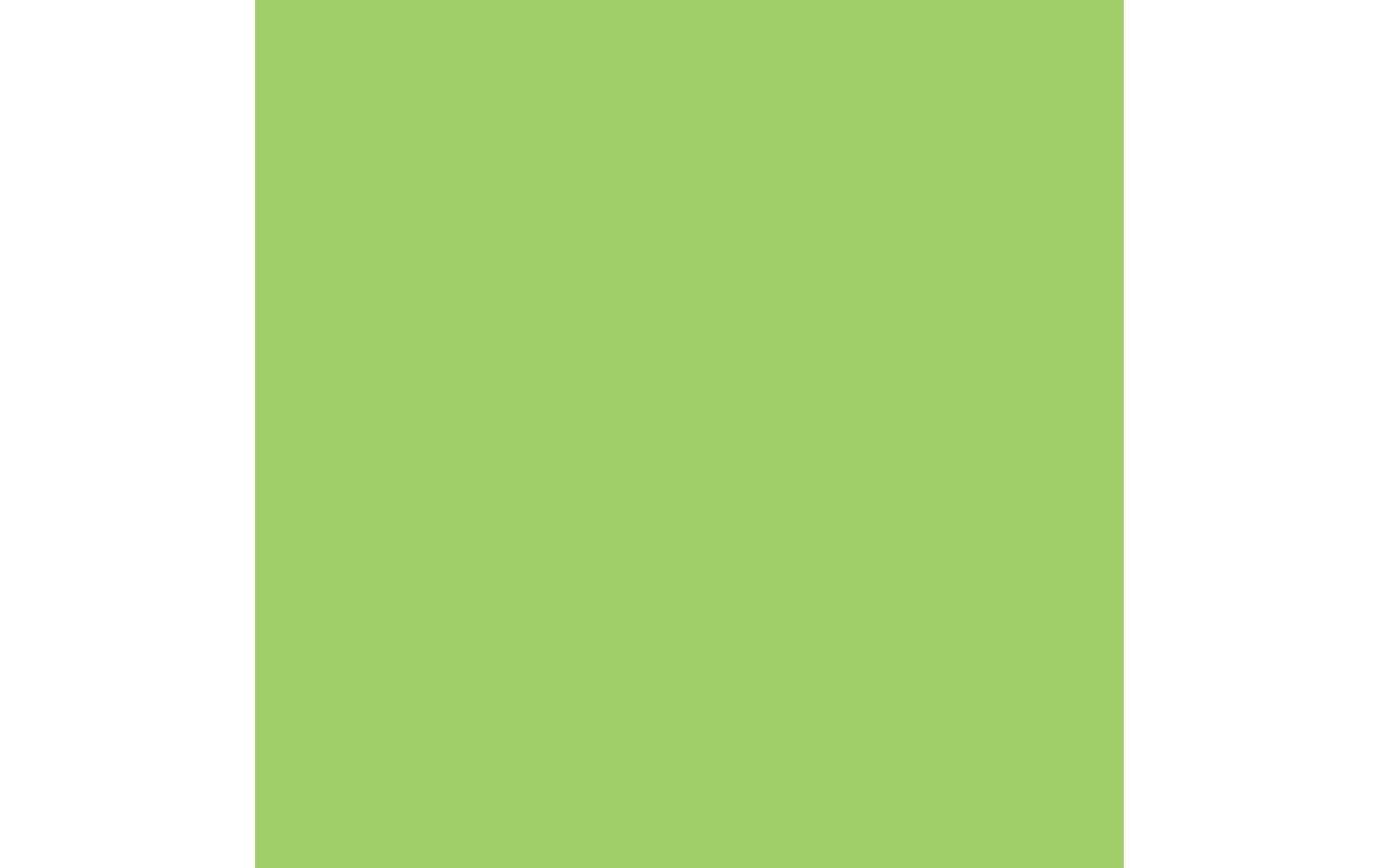 Rainbow Kopierpapier A3, Grün, 80 g/m², 500 Blatt