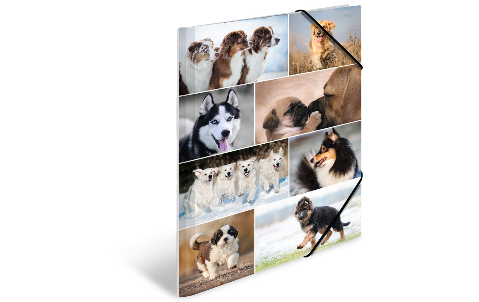 HERMA Gummibandmappe A3 Hunde, Karton, mit Innendruck