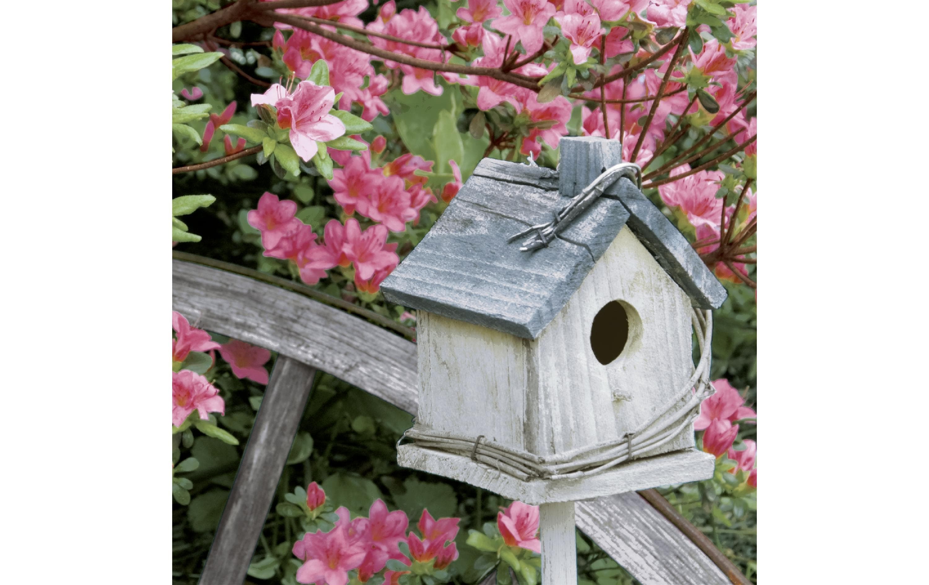 Paper + Design Papierservietten Spring Birdhouse 33 cm x 33 cm, 20 Stück