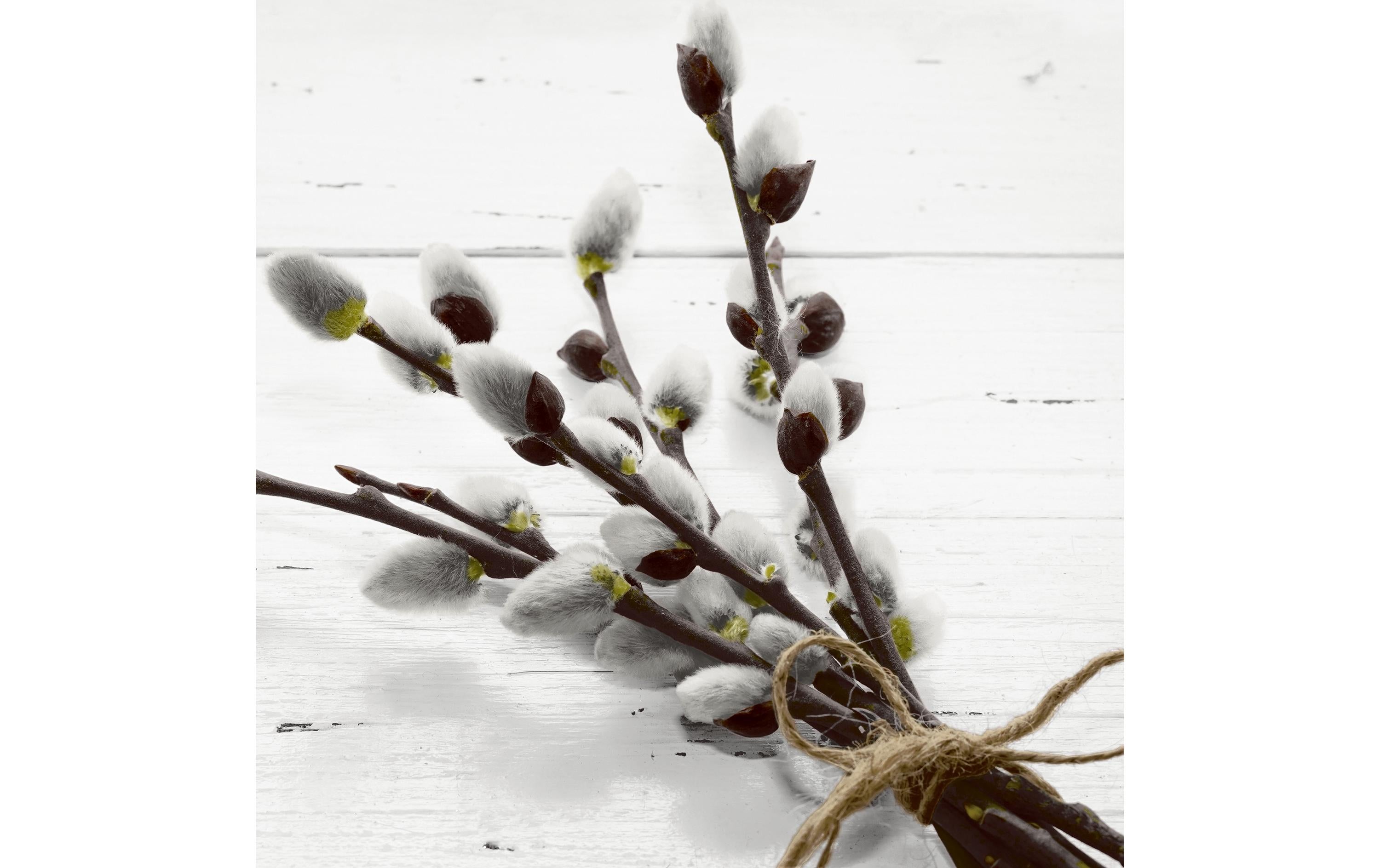 Paper + Design Papierservietten Wild Willow 33 cm x 33 cm, 20 Stück