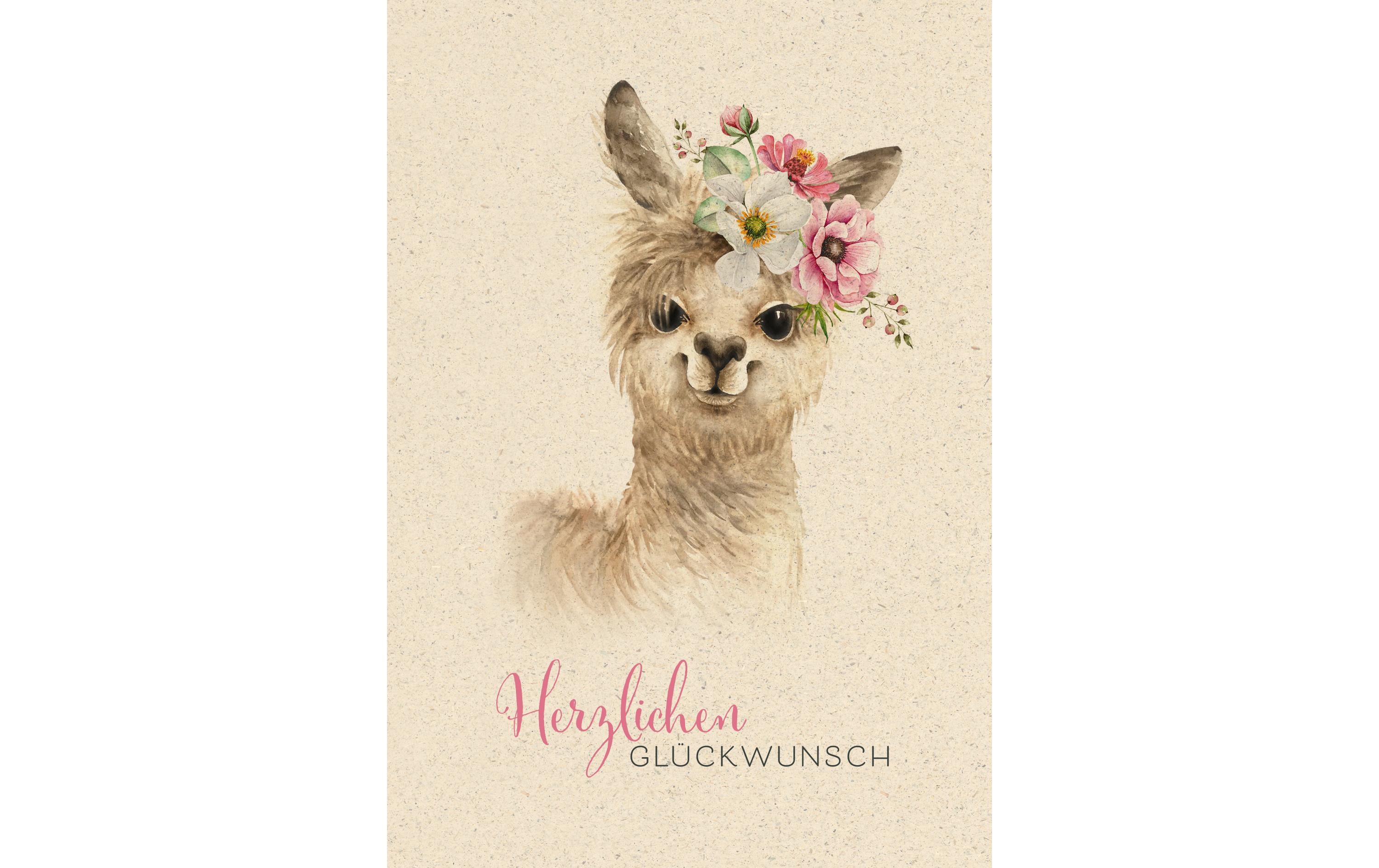 Natur Verlag Geburtstagskarte Lama 17.5 x 12.2 cm