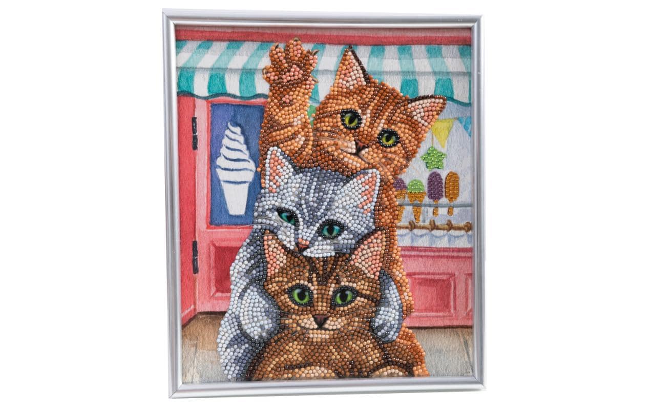 CRAFT Buddy Bastelset Crystal Art Kätzchen 21 x 25 cm