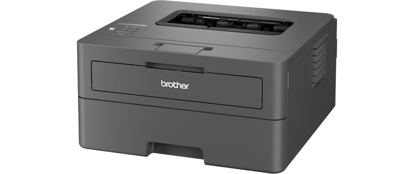 Brother Drucker HL-L2400DW