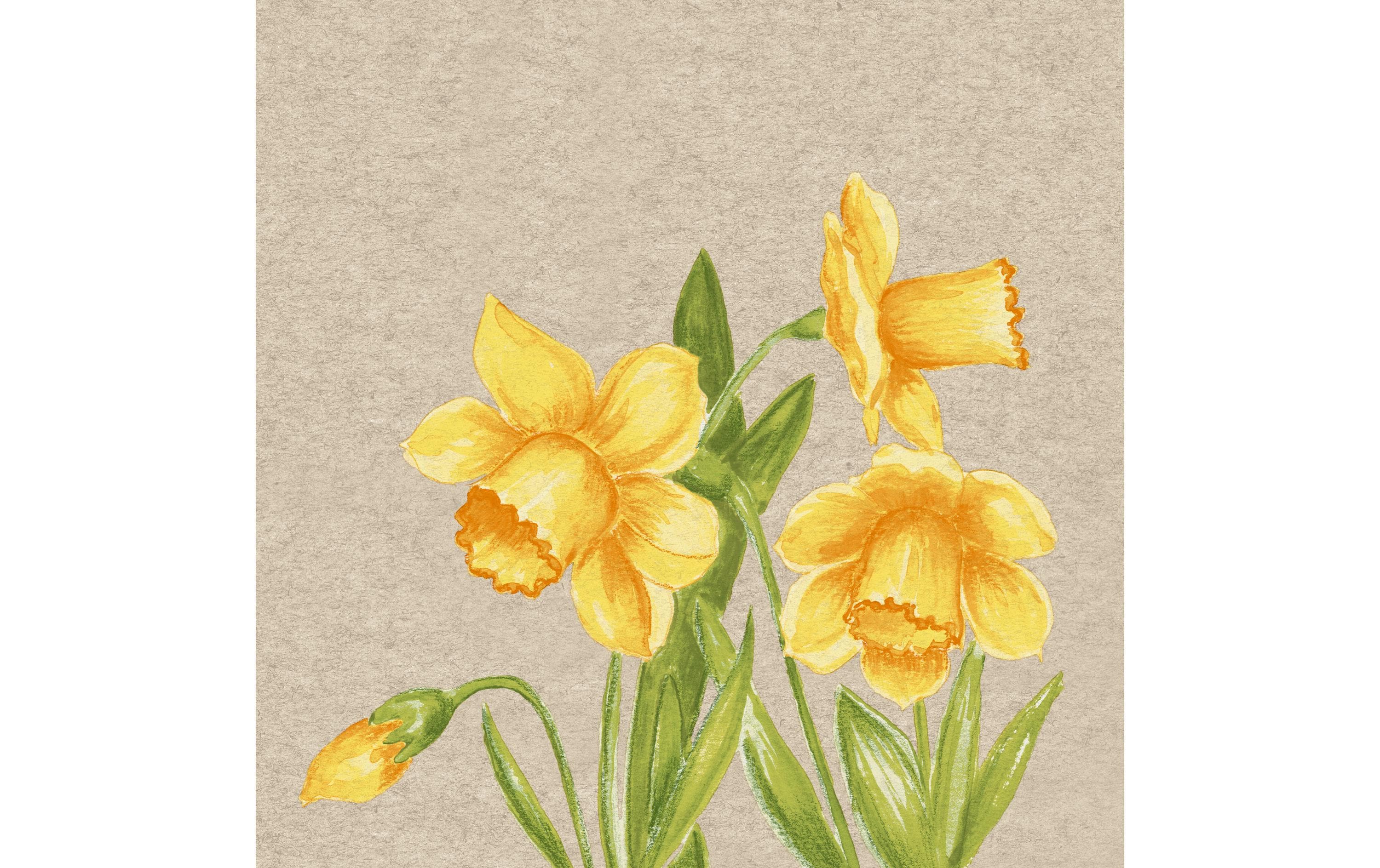 Paper + Design Papierservietten Daffodil 33 cm x 33 cm, 25 Stück