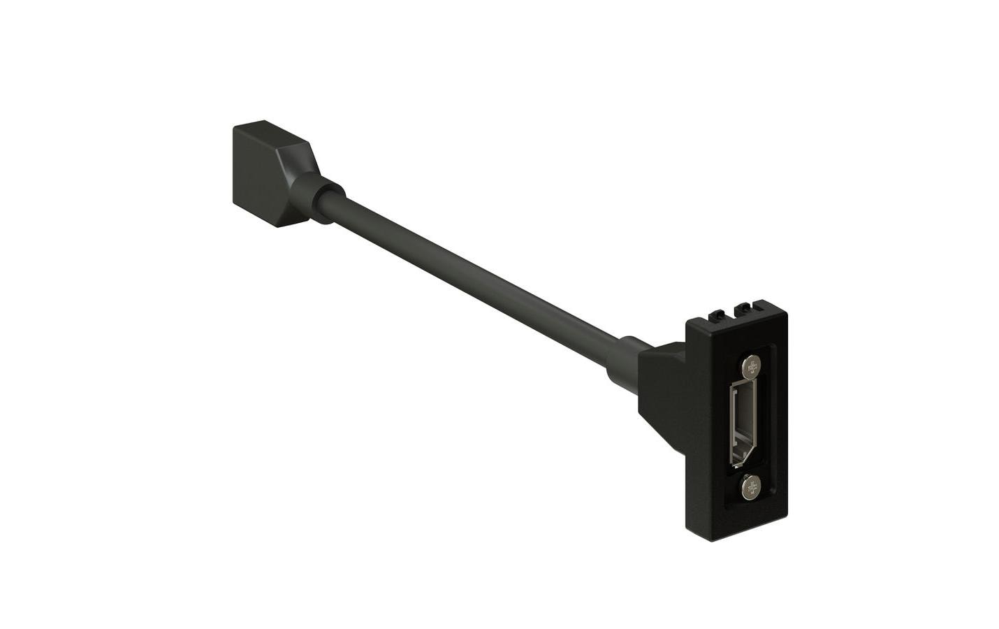 max connect 45 x 22.5 mm, 1x DisplayPort, Anthrazit