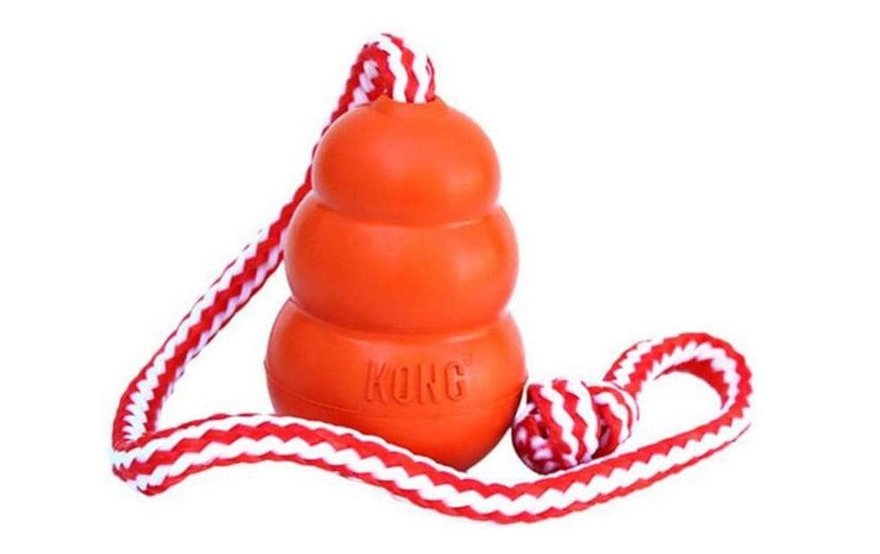 Kong Hunde-Spielzeug Kong Aqua Ø 9 cm