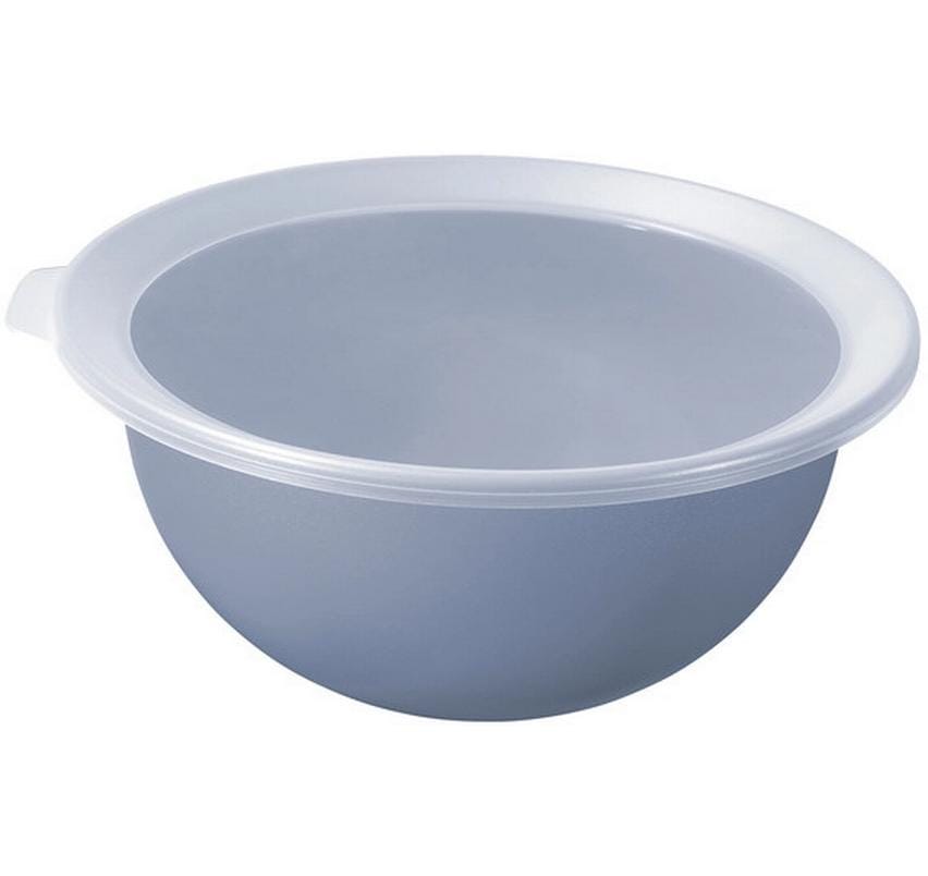 Rotho Schüssel Caruba 1 Stück, Blau