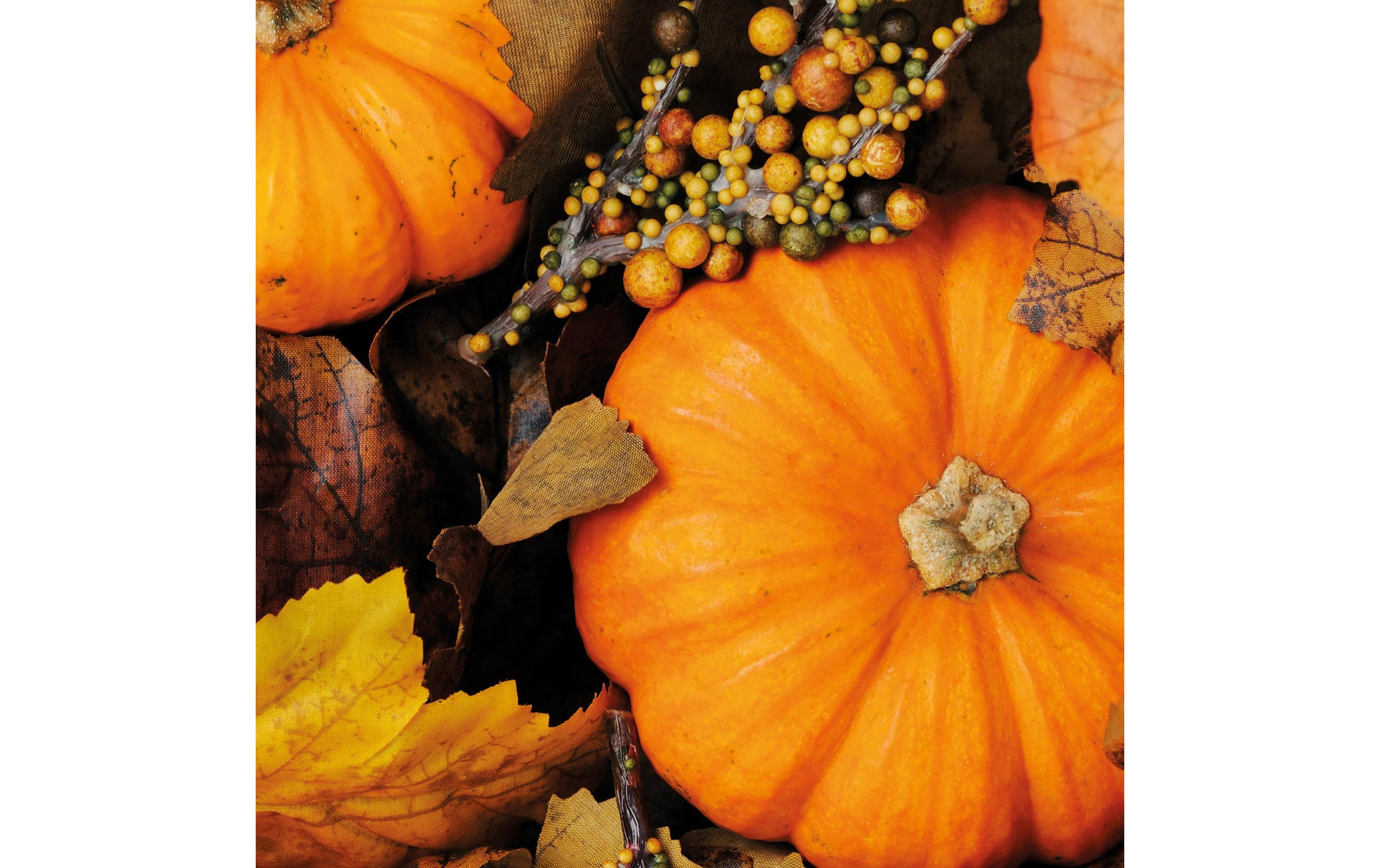 Paper + Design Papierservietten Fall Pumpkins 33 cm x 33 cm, 20 Stück