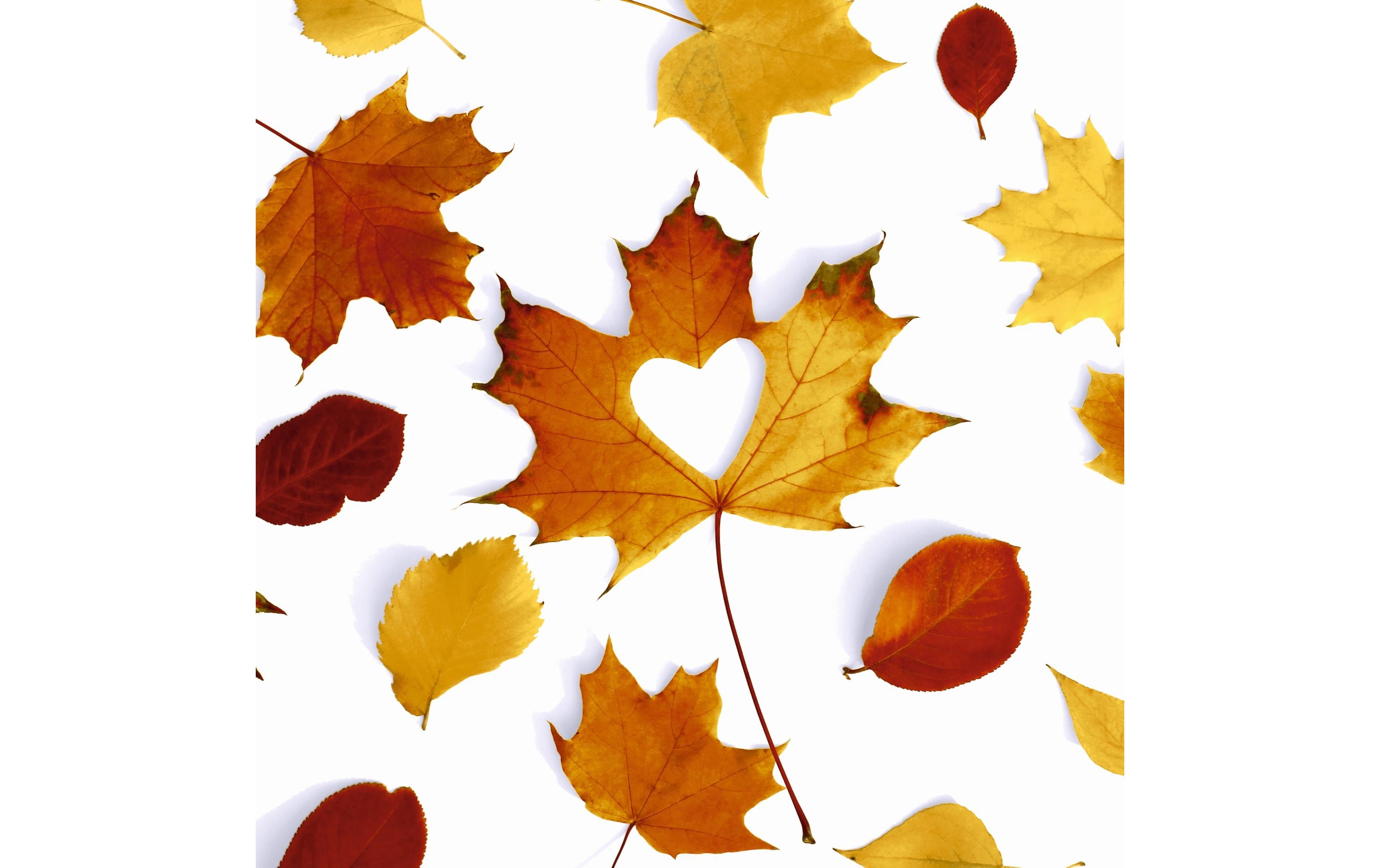 Paper + Design Papierservietten Autumn Love 33 cm x 33 cm, 20 Stück