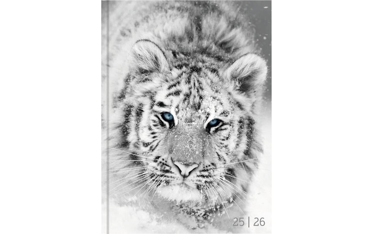 Biella Schüleragenda Mydiary 25/26 FSC, 1T/1S, 12 x 16.5 cm