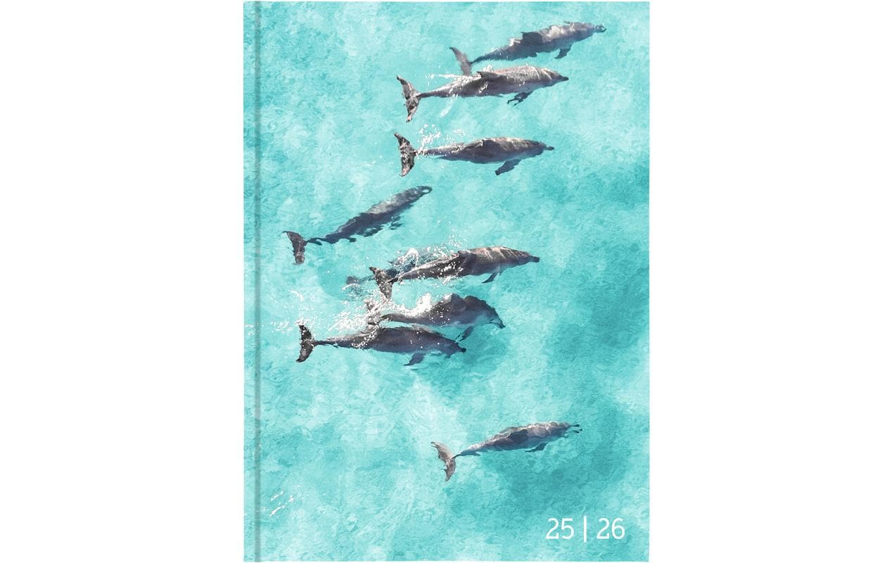 Biella Schüleragenda Mydiary Animal 25/26 FSC, 1T/1S, 12 x 16.5 cm