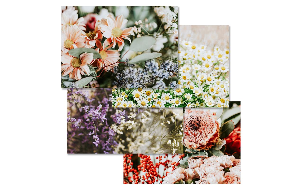 Trendform Tischset Garden poetry 42 x 29.7 cm