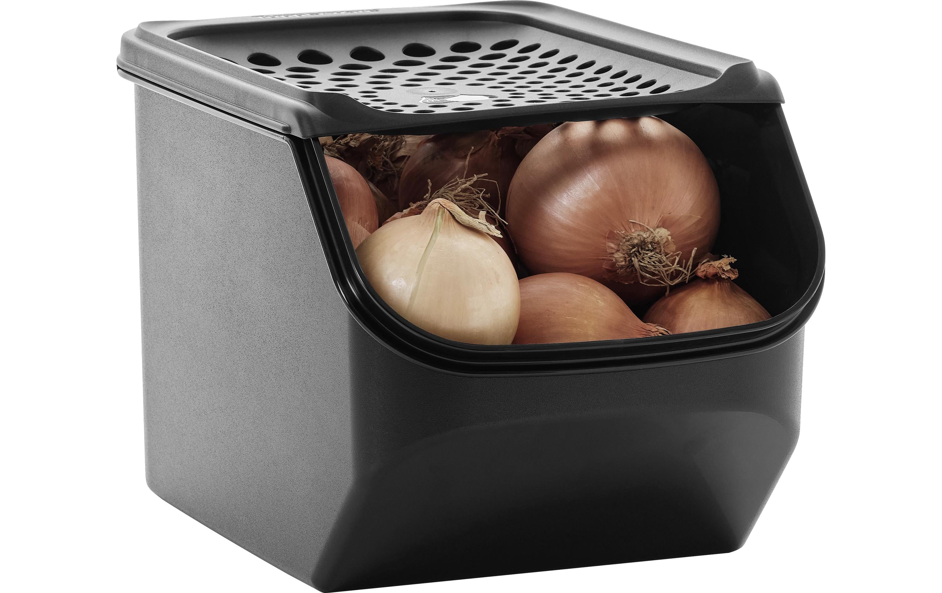 Mediashop Zwiebelbehälter Onion Smart