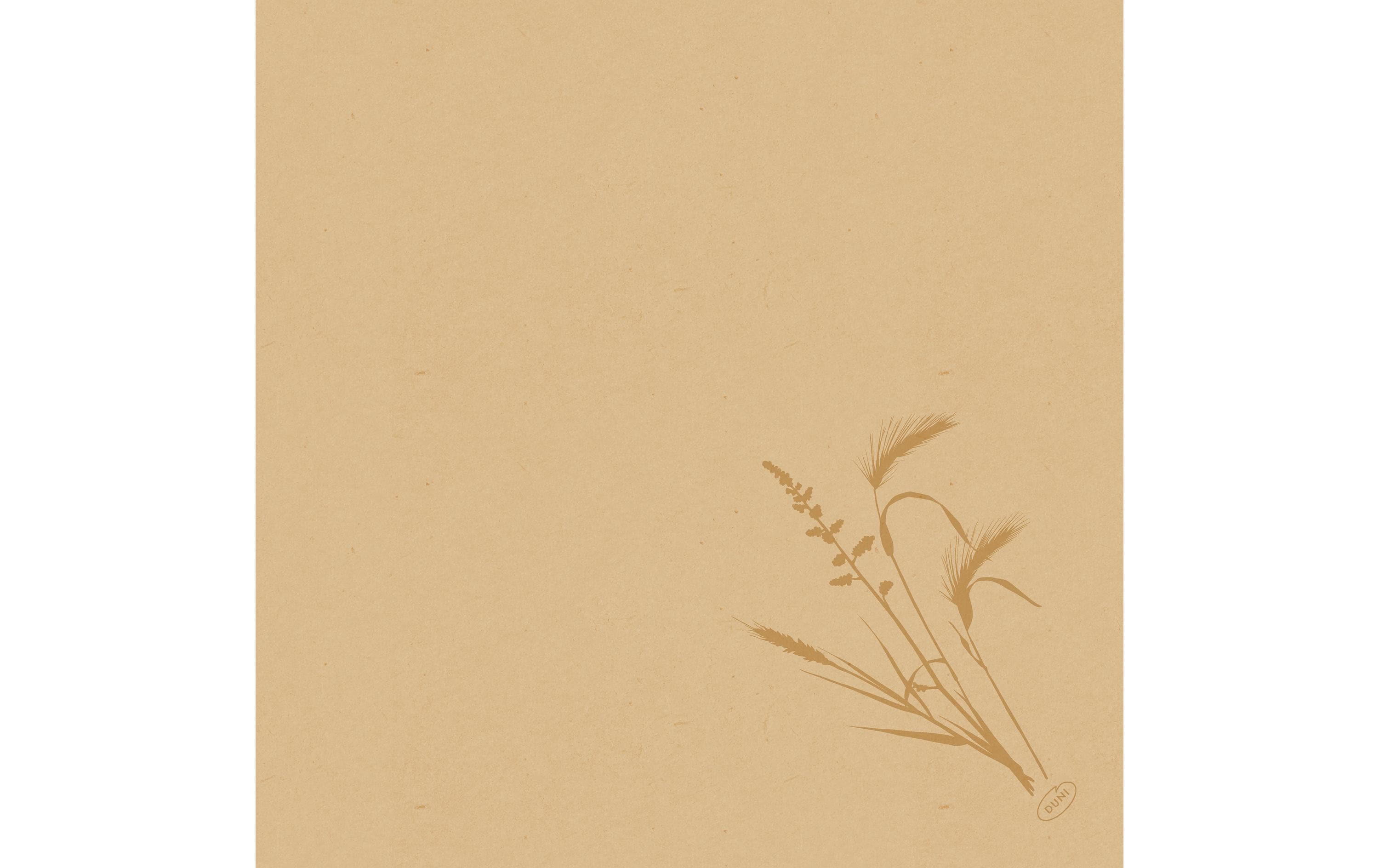 Duni Papierservietten Meadow 40 cm x 40 cm, 60 Stück, Nature