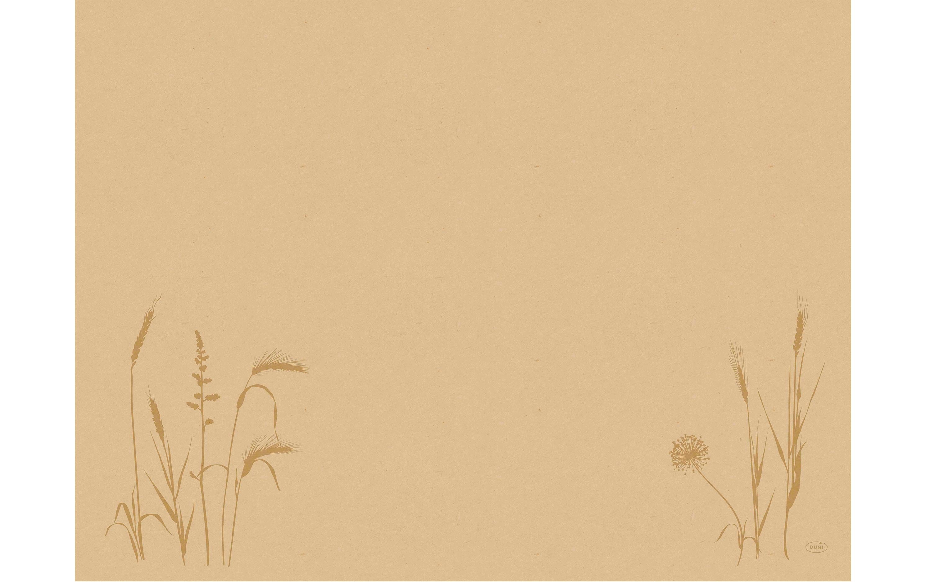 Duni Tischset Bio DC Meadow 100 Stück, 30 cm x 40 cm, Nature