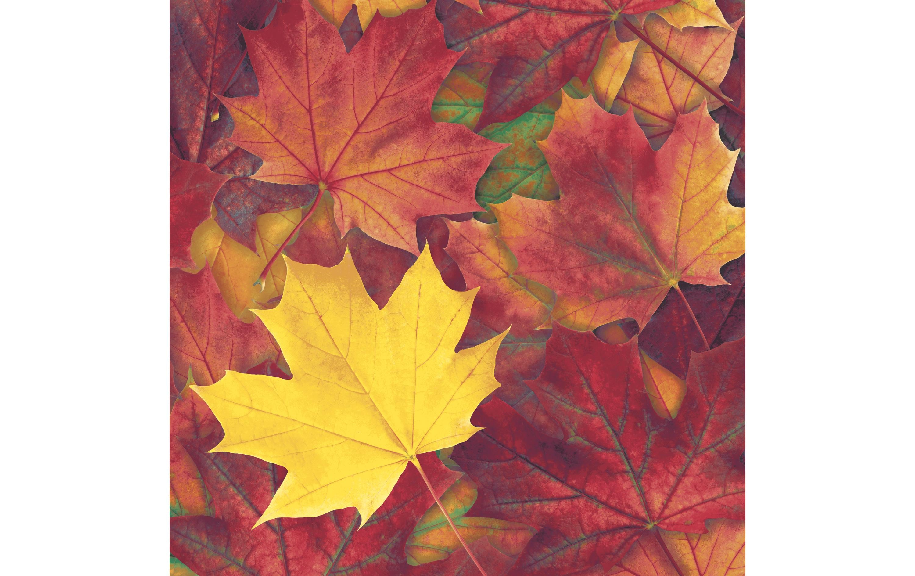 Paper + Design Servietten Herbstblätter 33 cm x 33 cm, 20 Stück