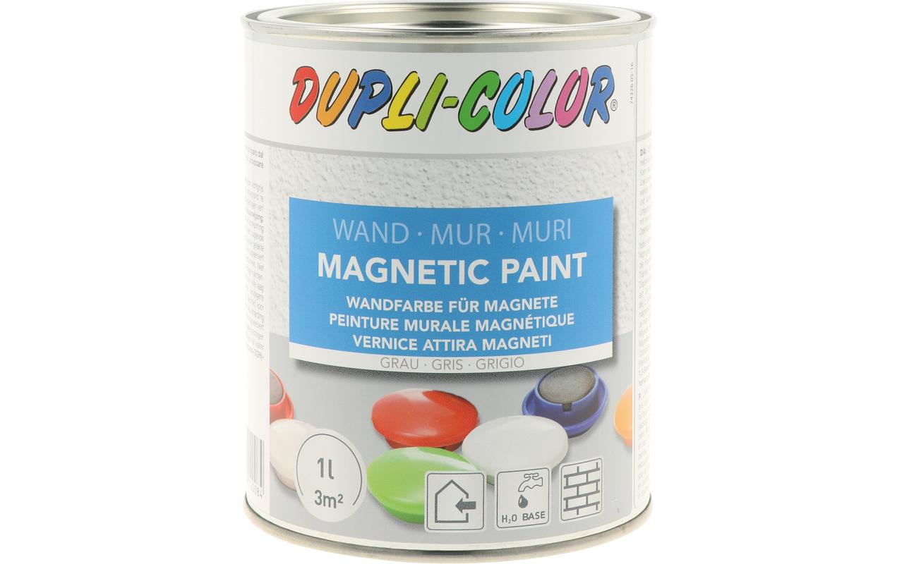 DUPLI-COLOR Hellgrau, 1.0 l