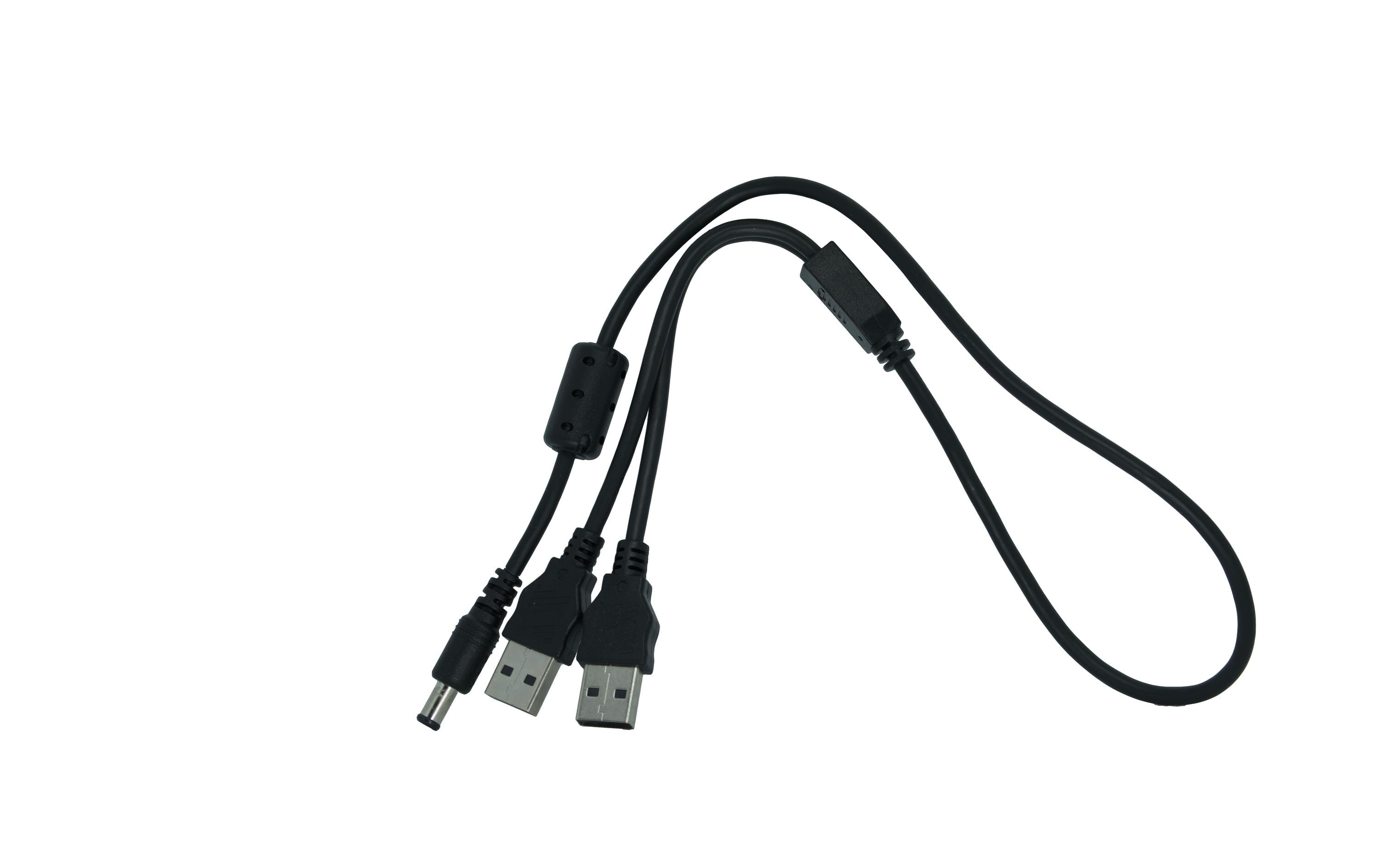 Silex USB 2.0-Y-Kabel 2xA für Silex BR-500AC USB A - USB A 0.5 m