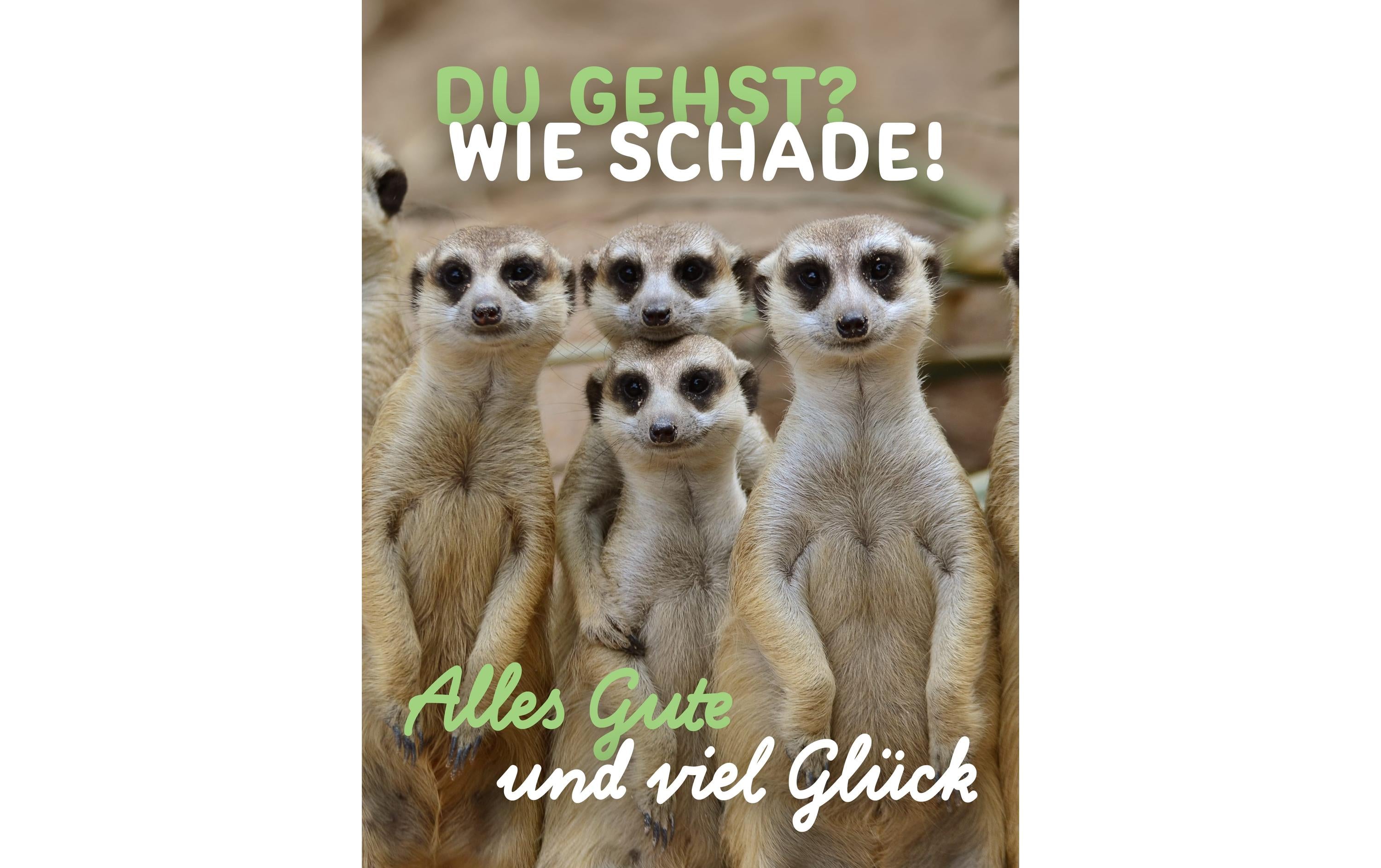 Cart Glückwunschkarte Alles Gute und viel Glück A4
