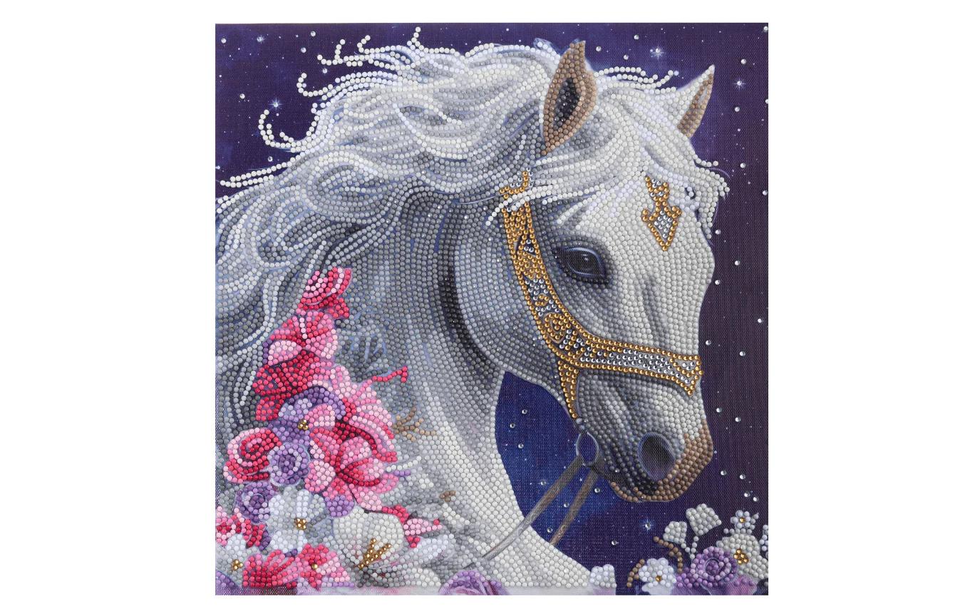 CRAFT Buddy Bastelset Mystic Beauty Crystal Art Kit 30 x 30 cm
