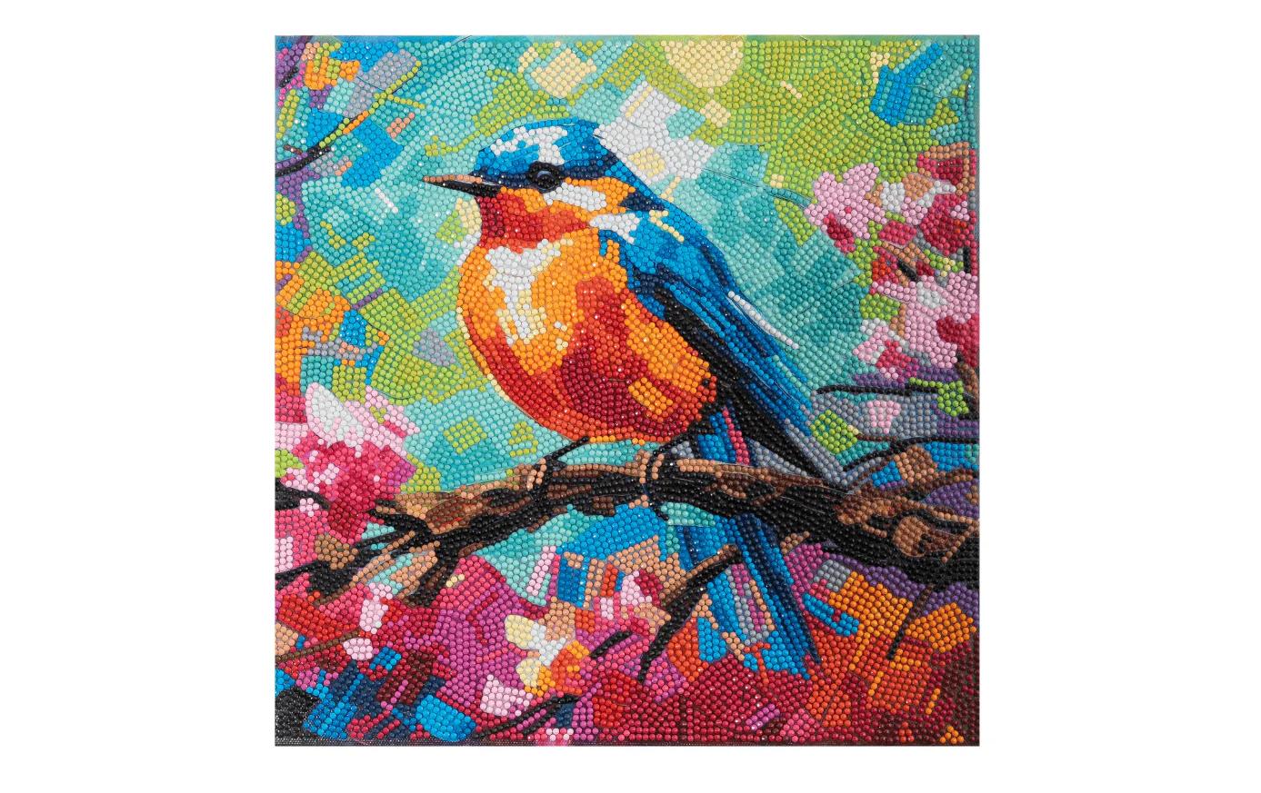 CRAFT Buddy Bastelset Spring Robin Crystal Art Kit 30 x 30 cm