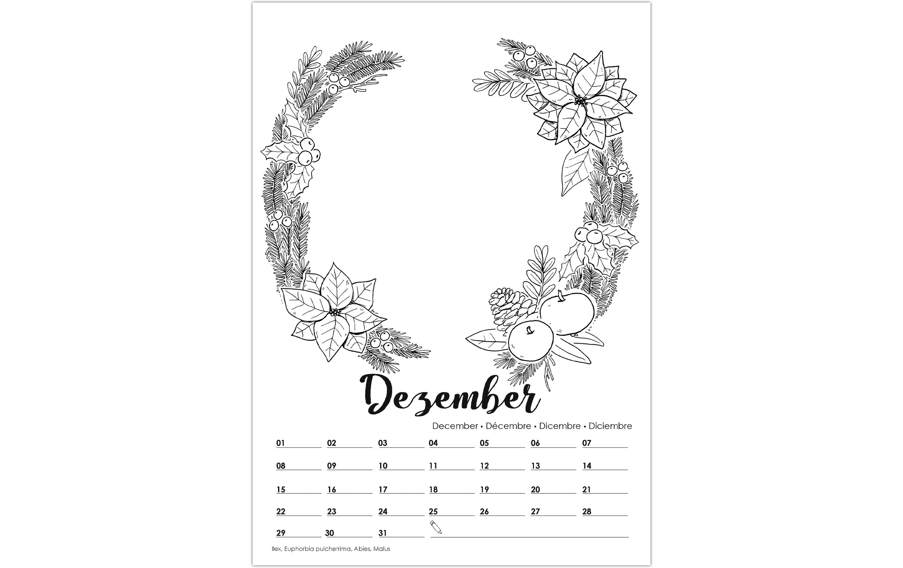 URSUS Foto-Bastelkalender A4